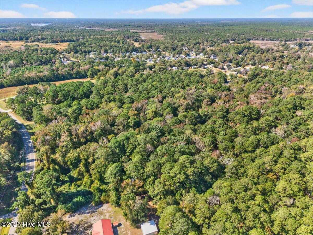 100538805 | Photo 20