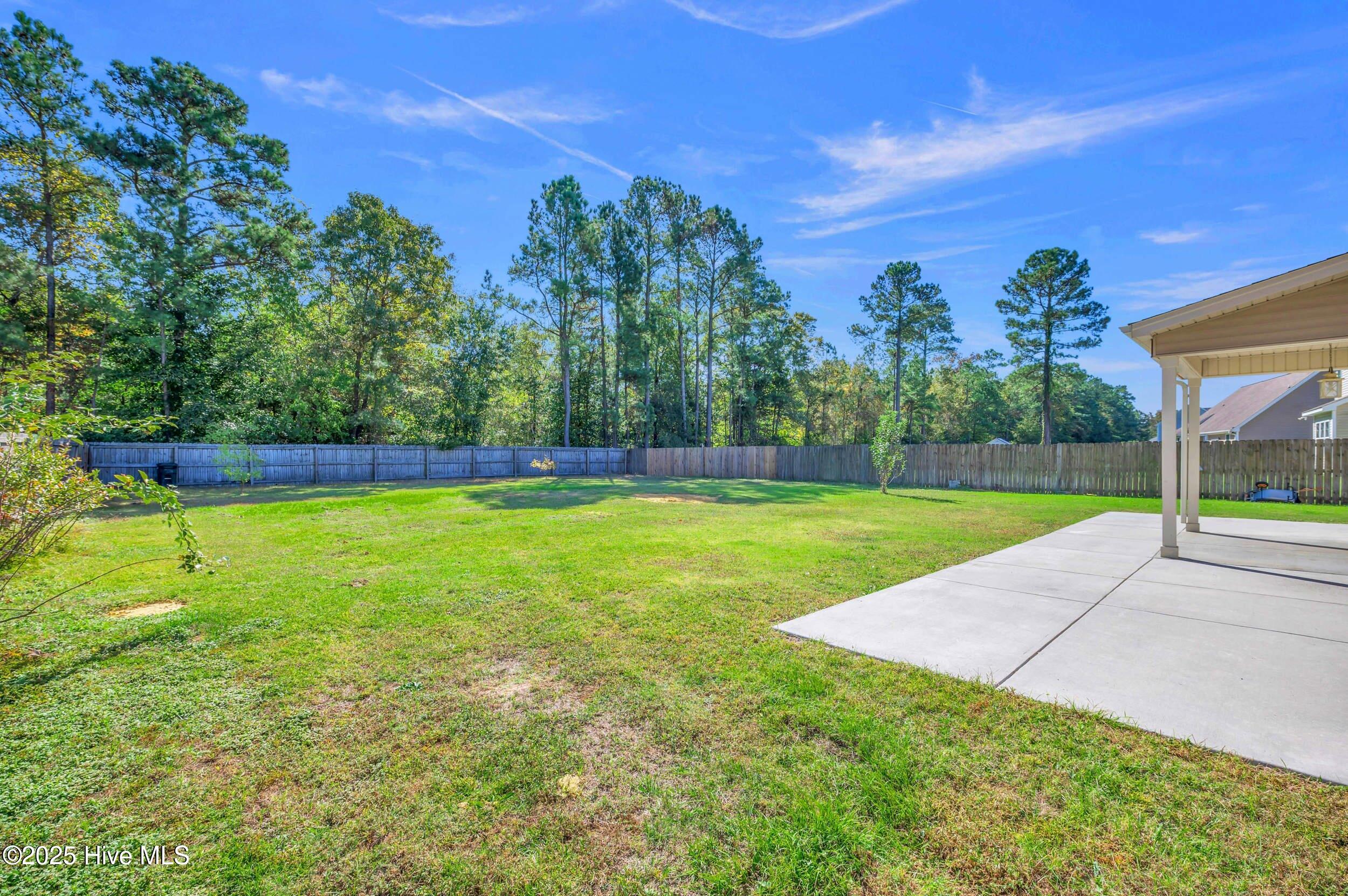 100538065 | Photo 43