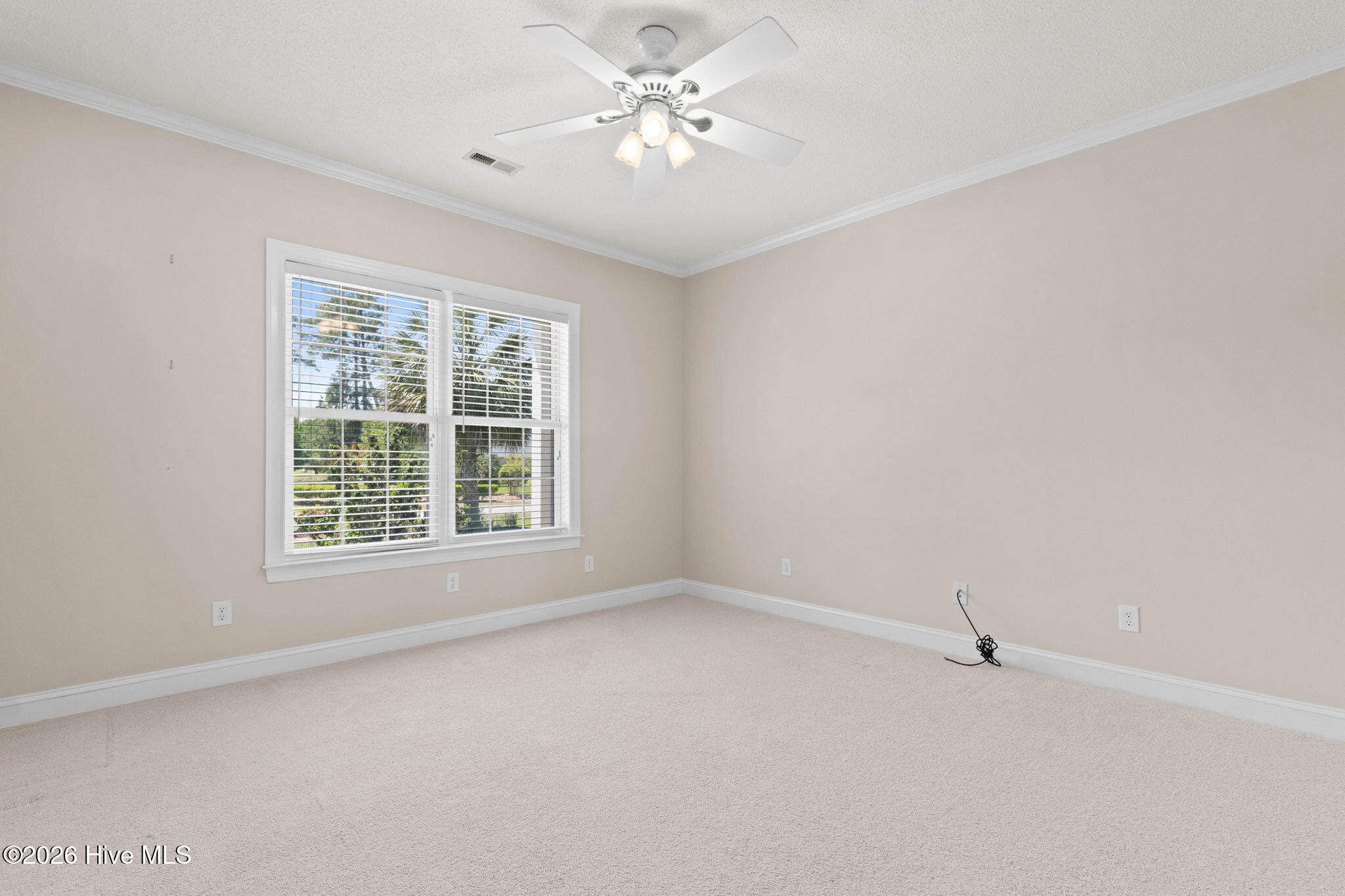 100567537 | Photo 70