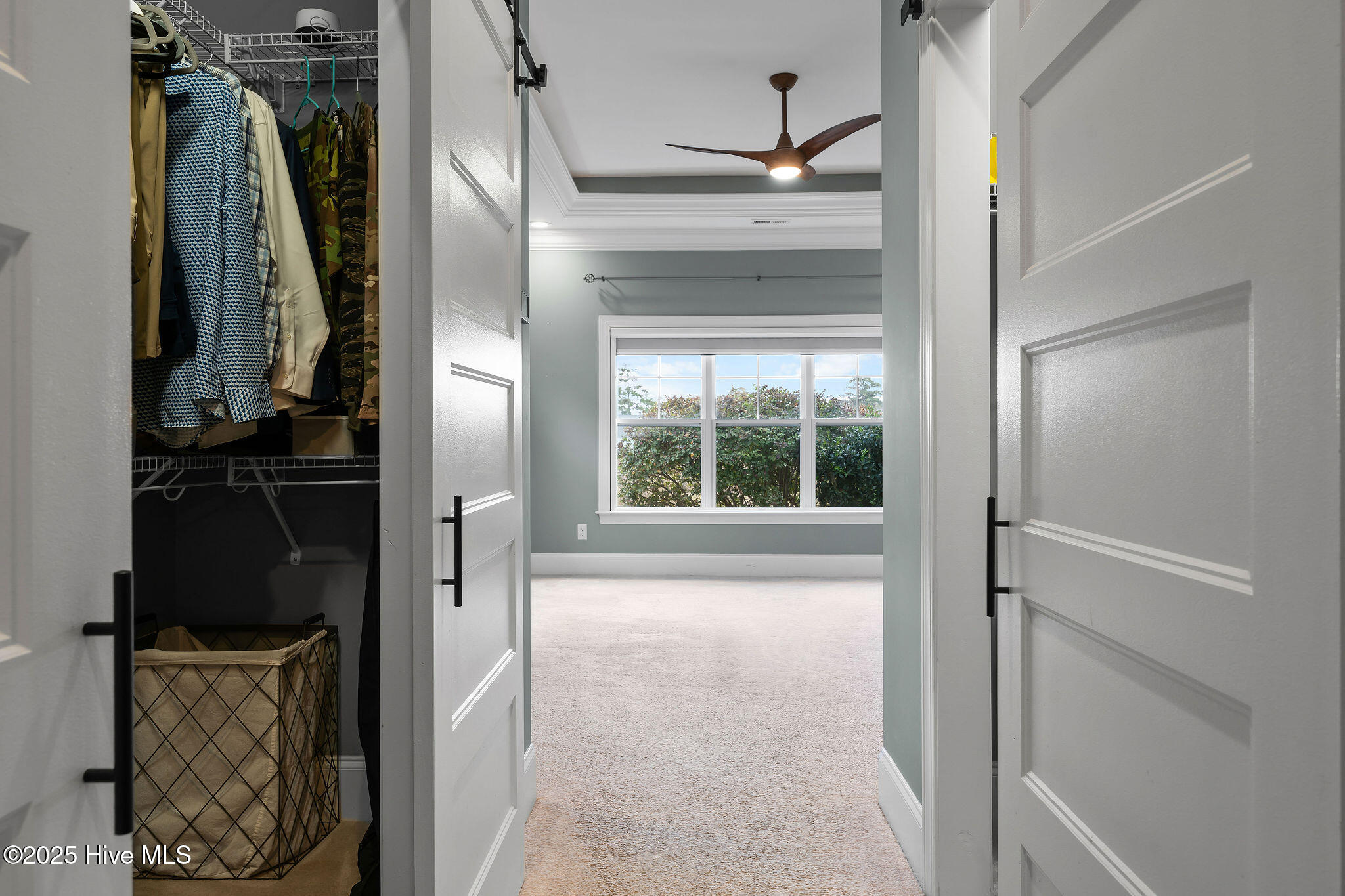 100564106 | Photo 35