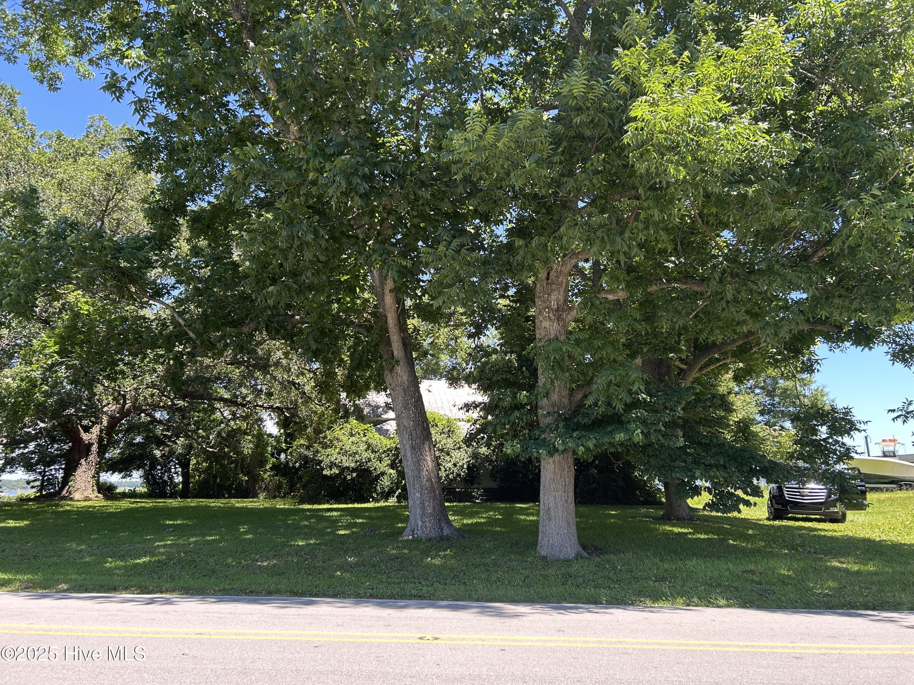 100517737 | Photo 11