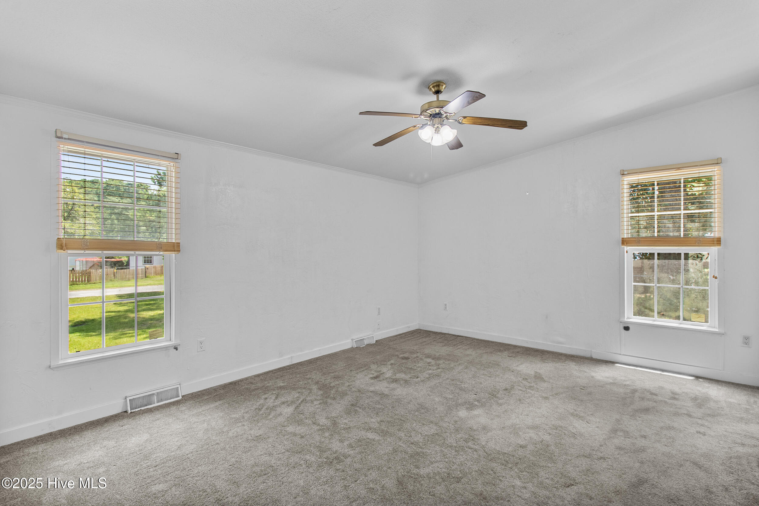 100515334 | Photo 33