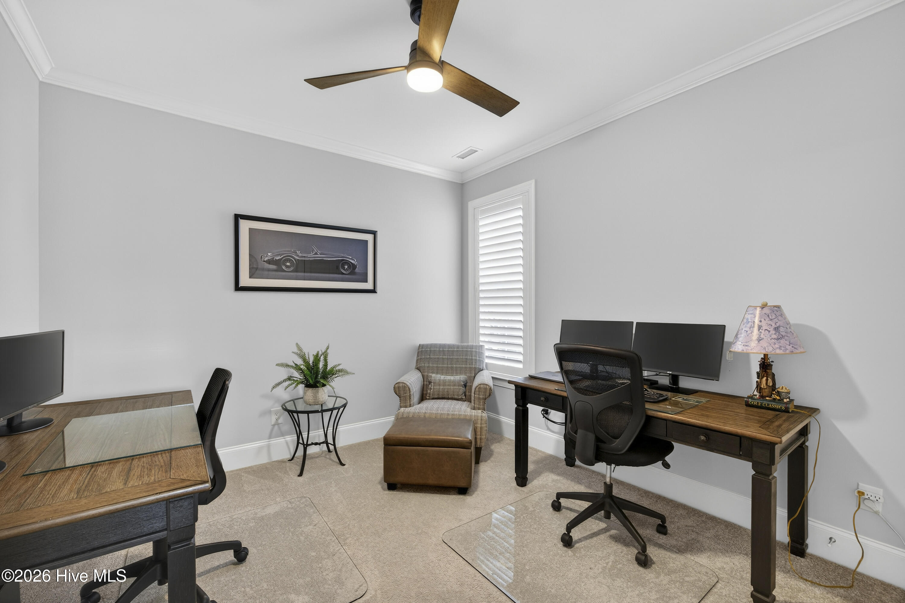 100551678 | Photo 35