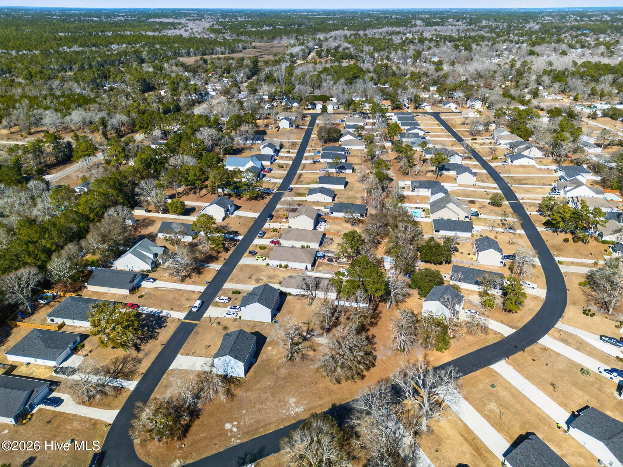 100555390 | Photo 38