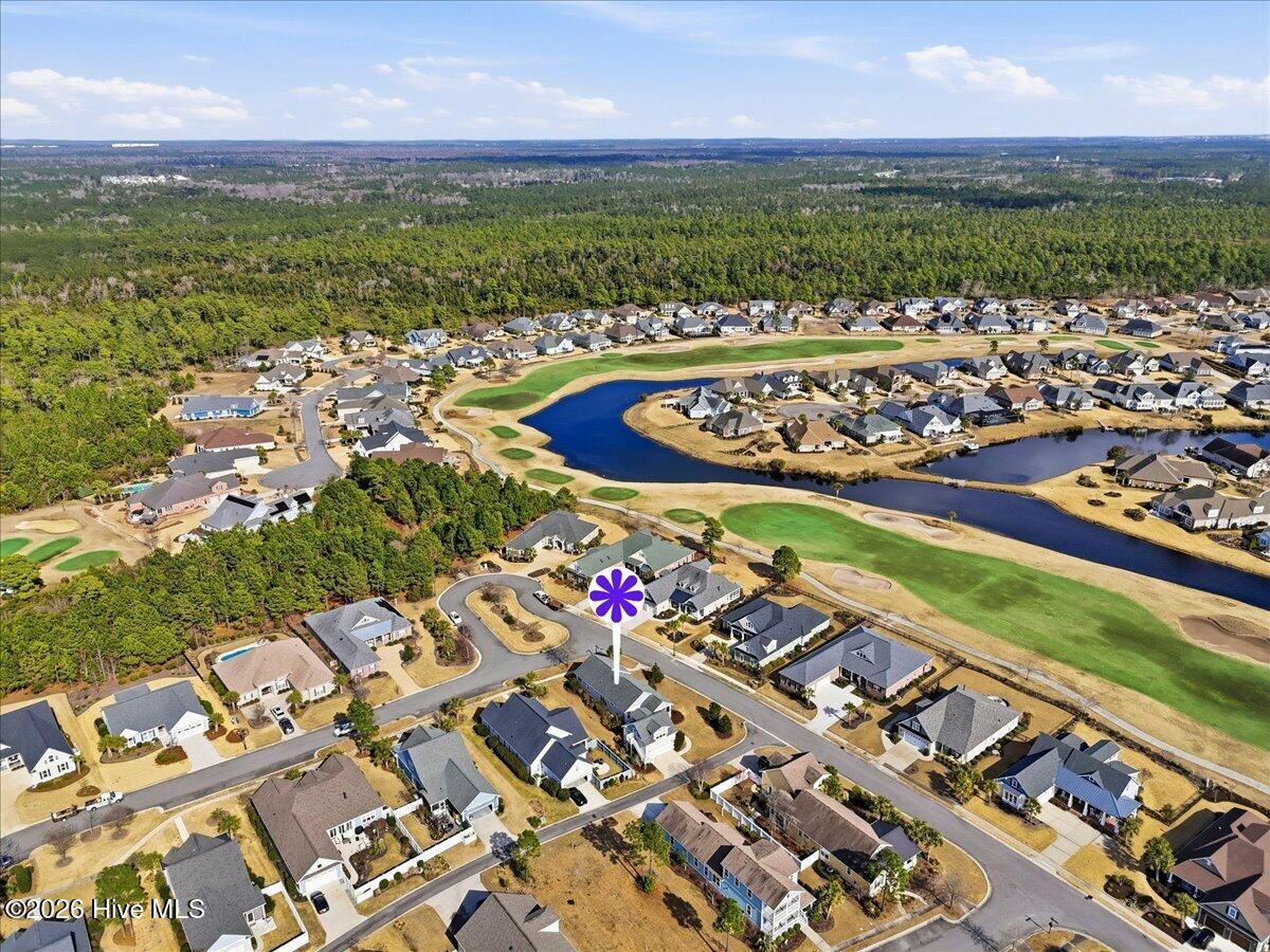 100558839 | Photo 79