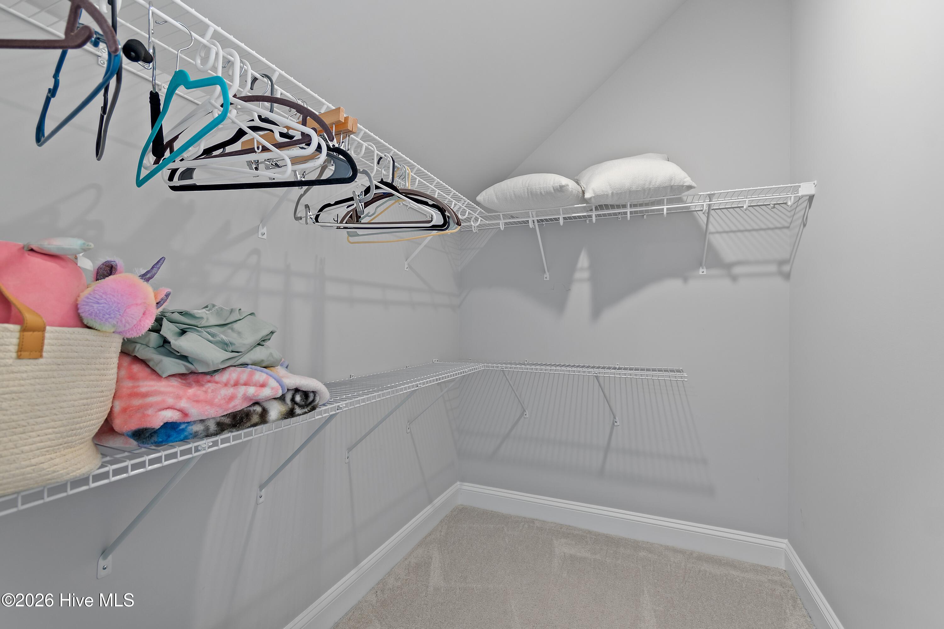 100565017 | Photo 48