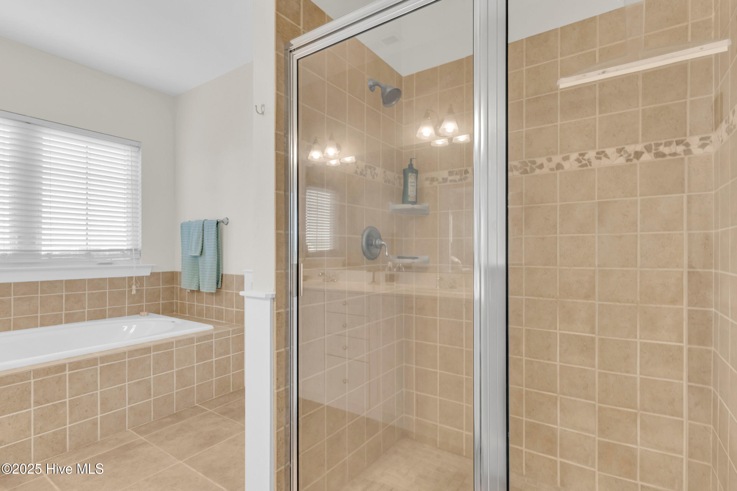 100530363 | Photo 25