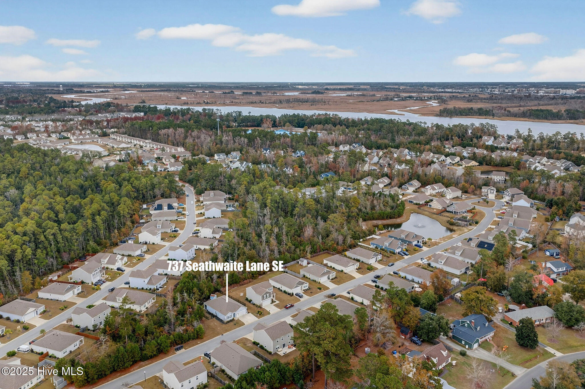 100543614 | Photo 37