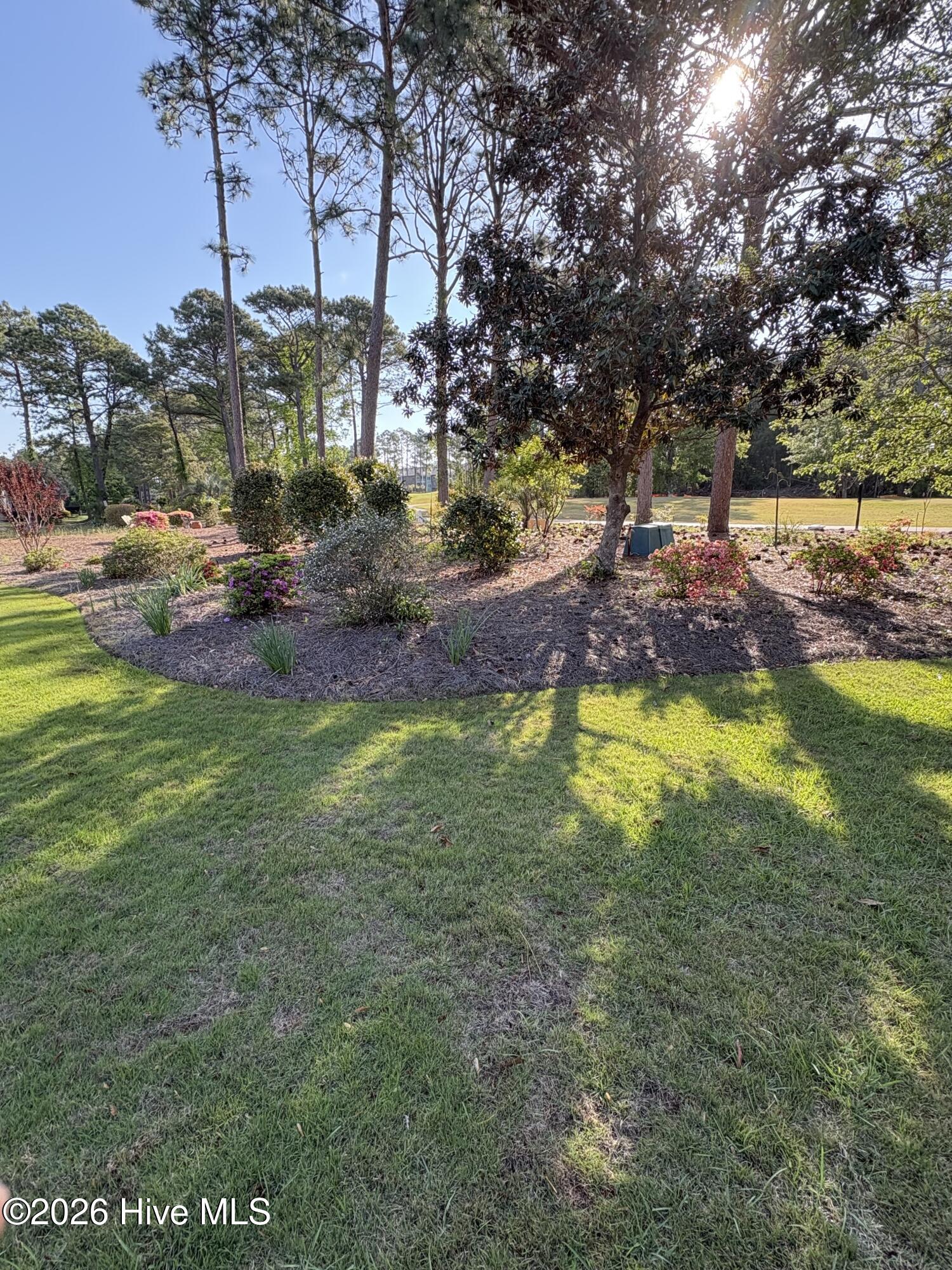 100567927 | Photo 11