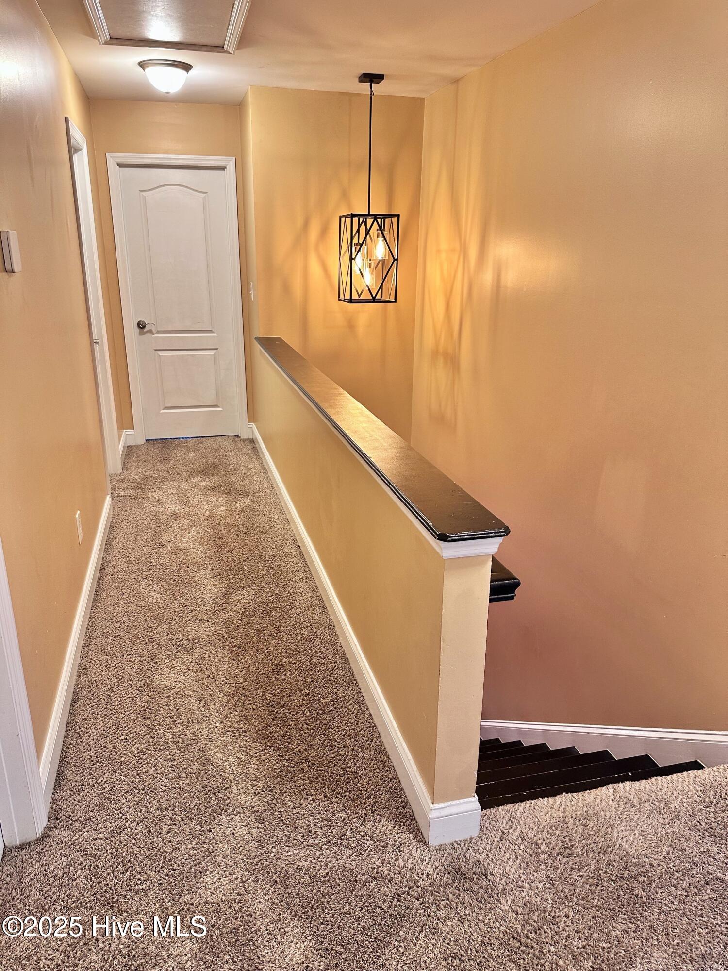 100522980 | Photo 19