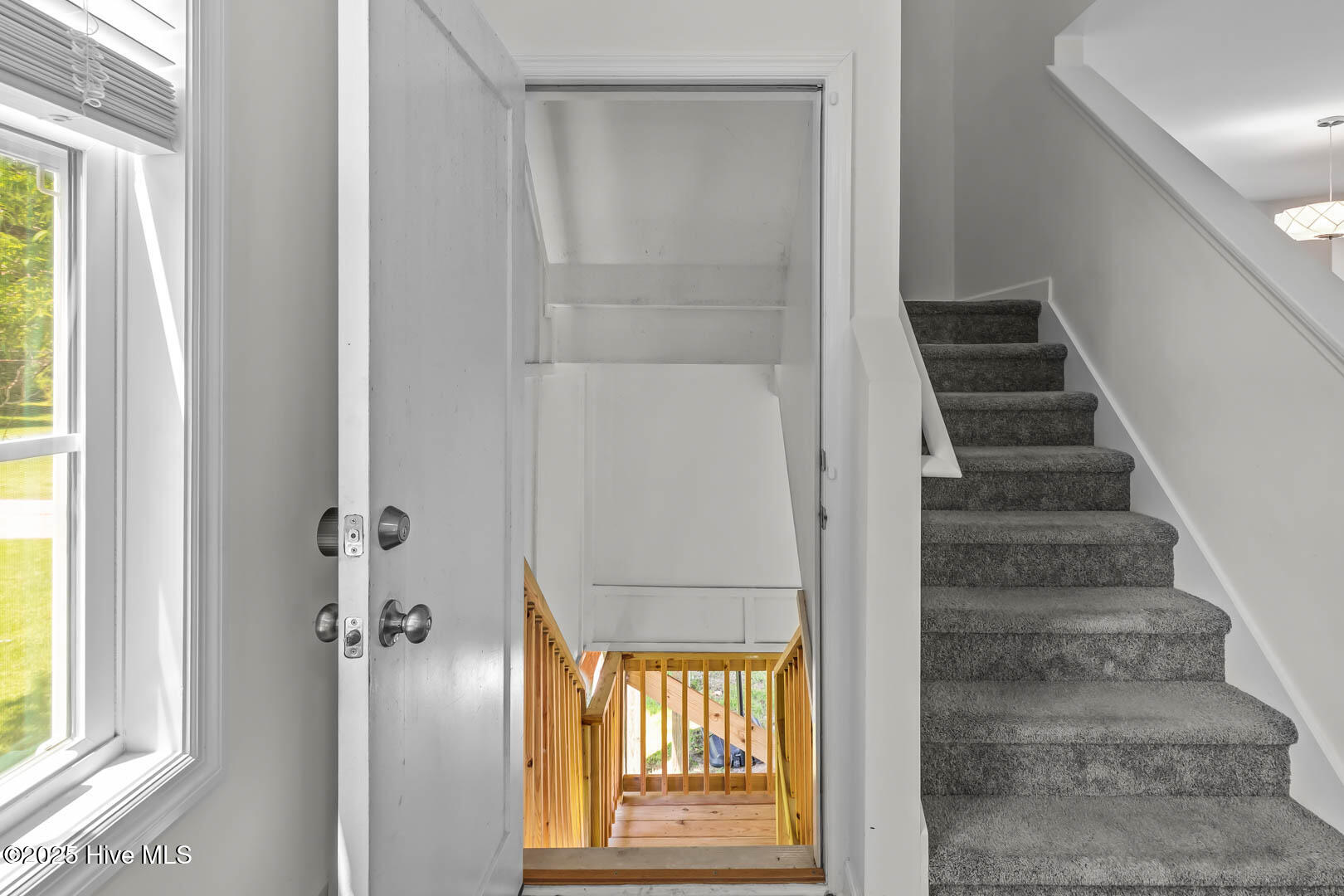 100516062 | Photo 52