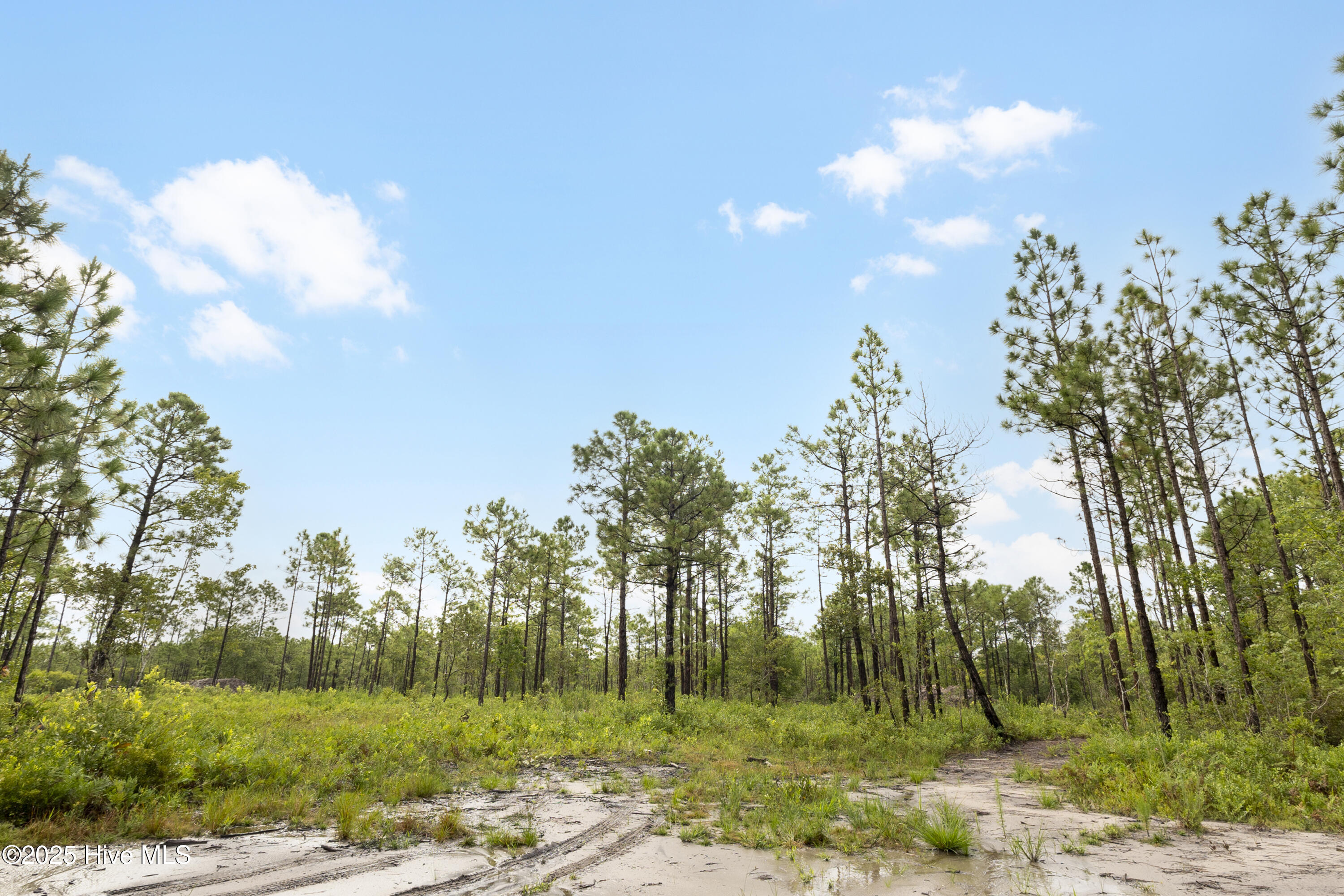 100525966 | Photo 10