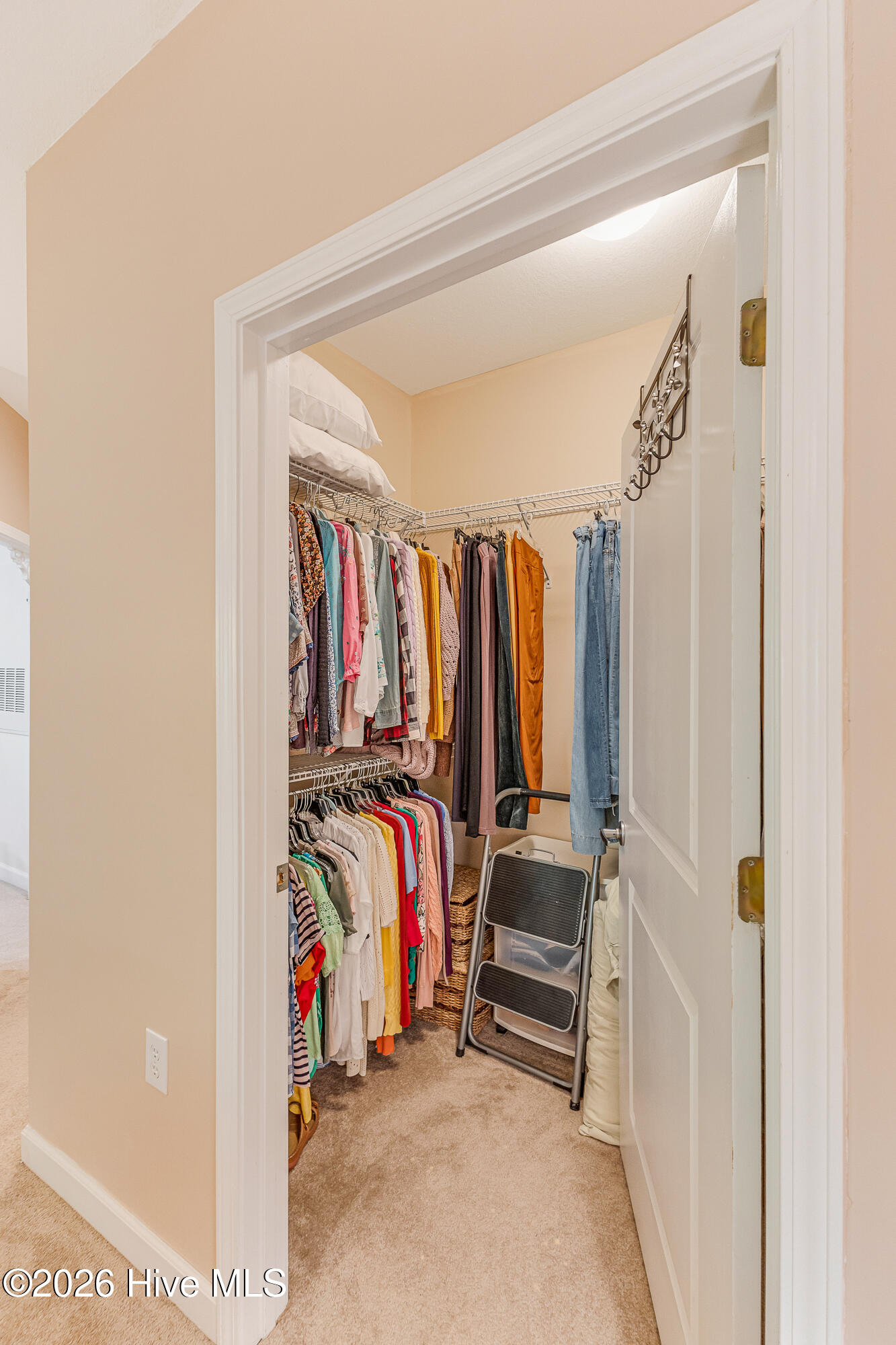 100555725 | Photo 21