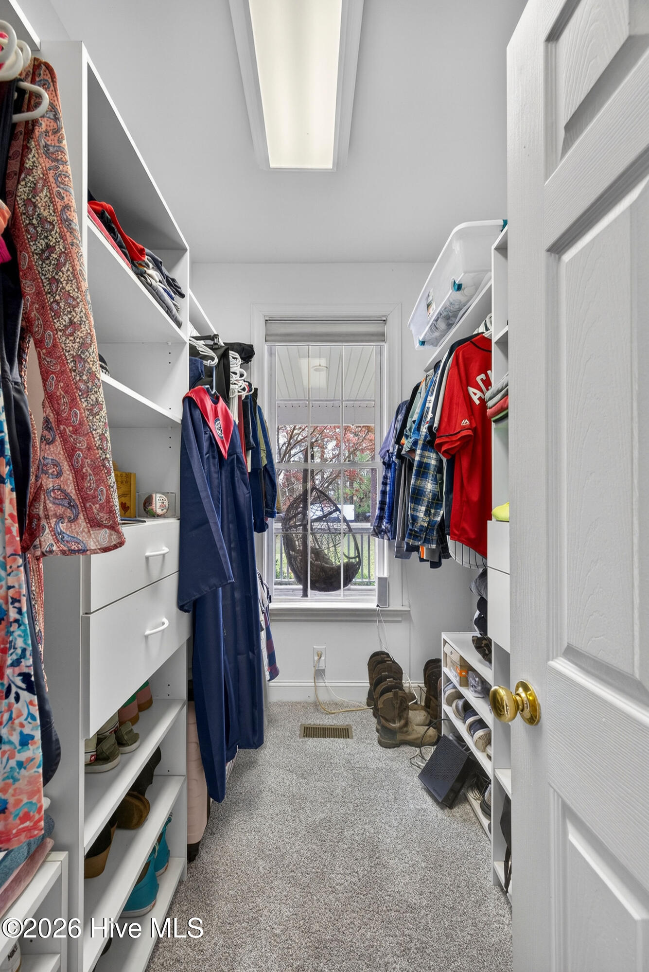 100563131 | Photo 36