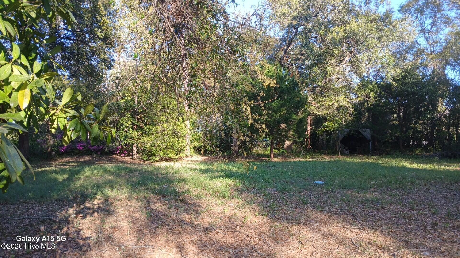 100563878 | Photo 10