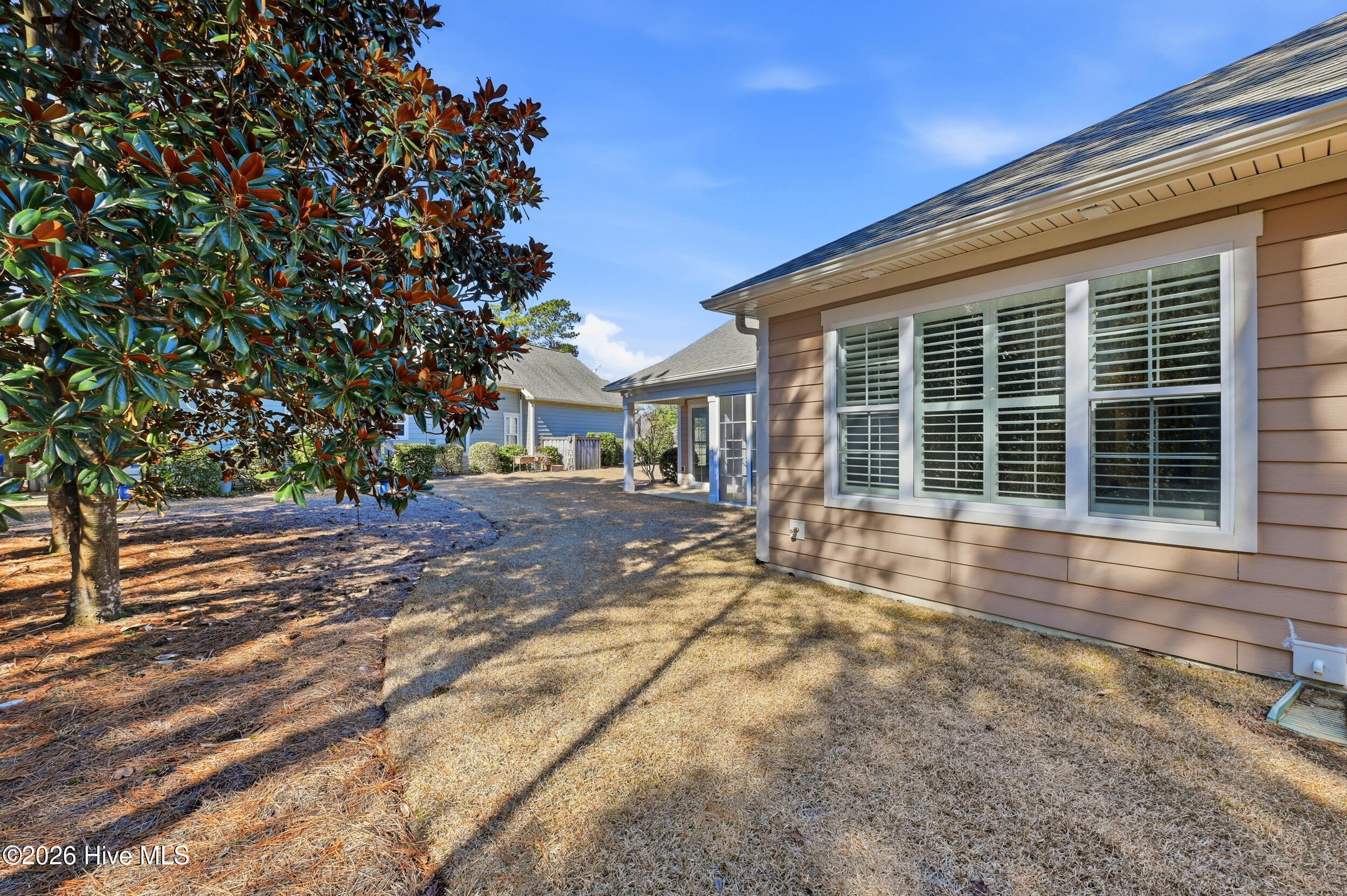 100556965 | Photo 43