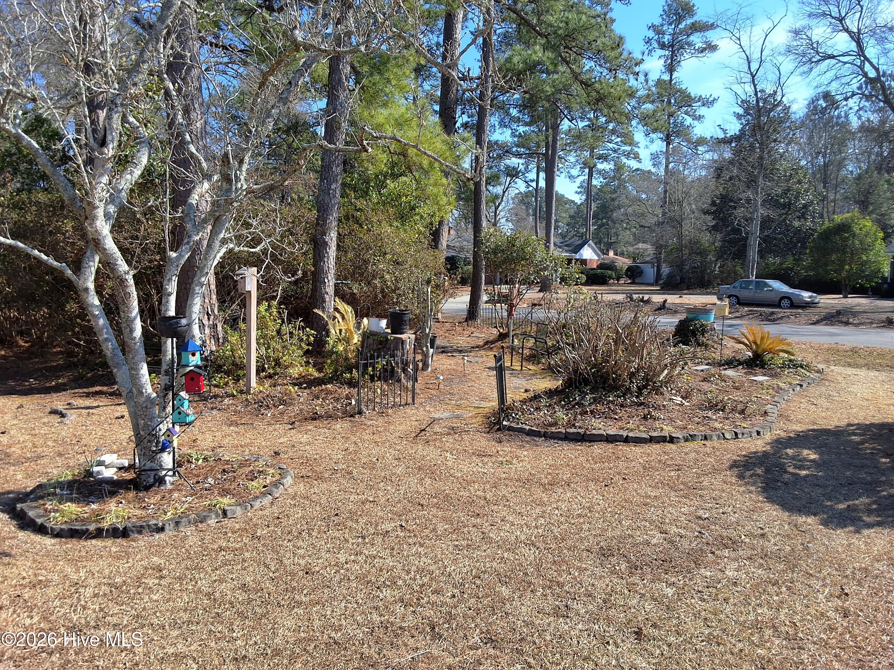 100554569 | Photo 96