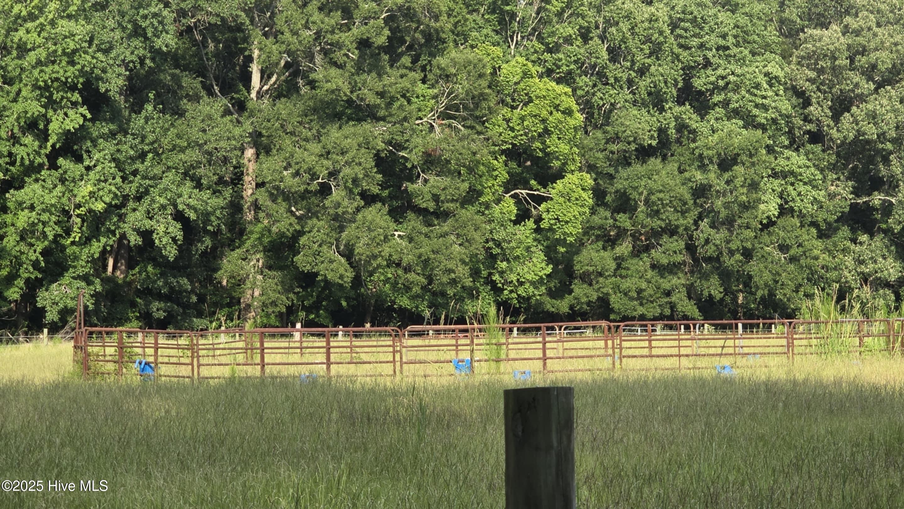 100522277 | Photo 16