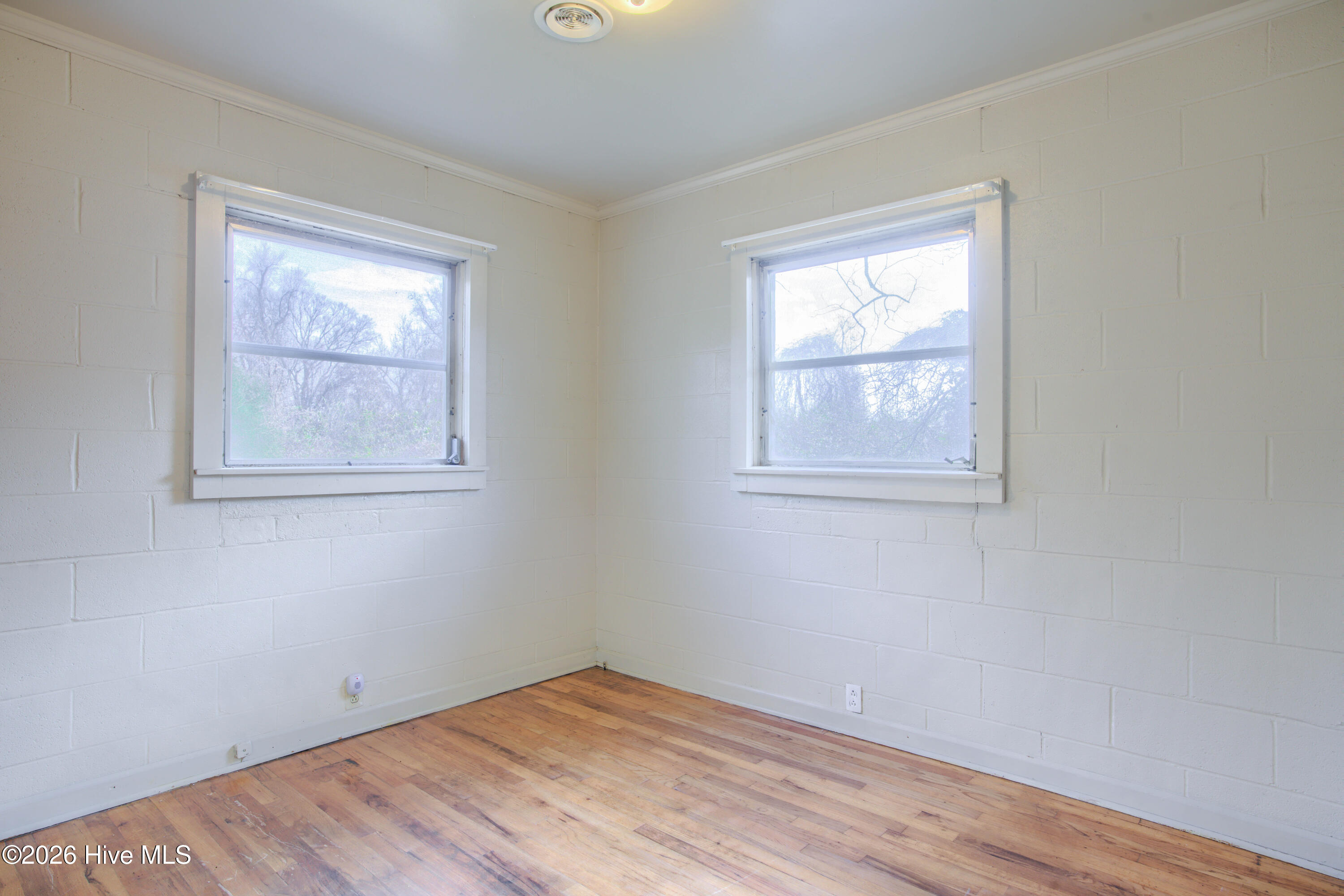 100556576 | Photo 13