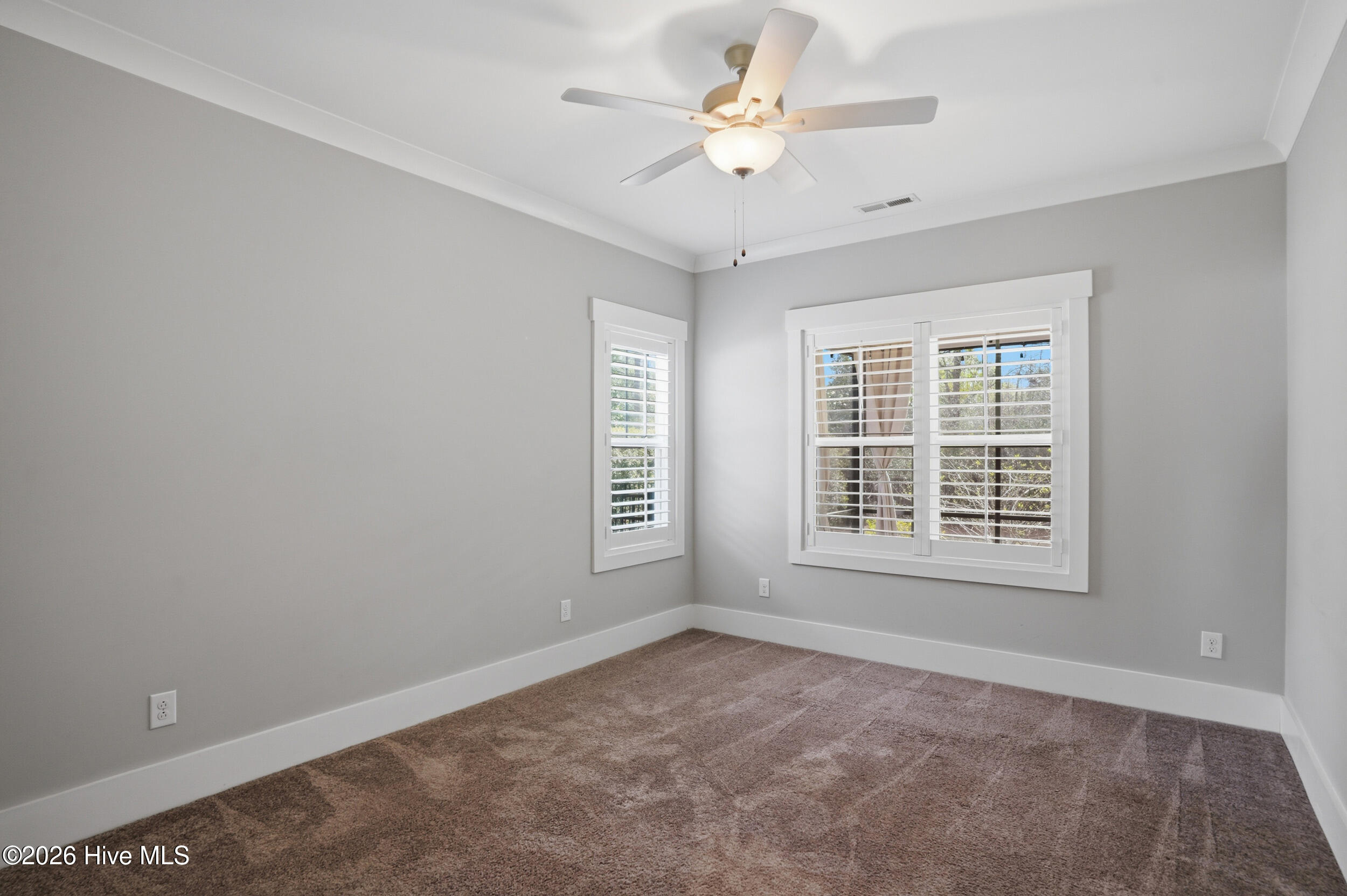 100561233 | Photo 34