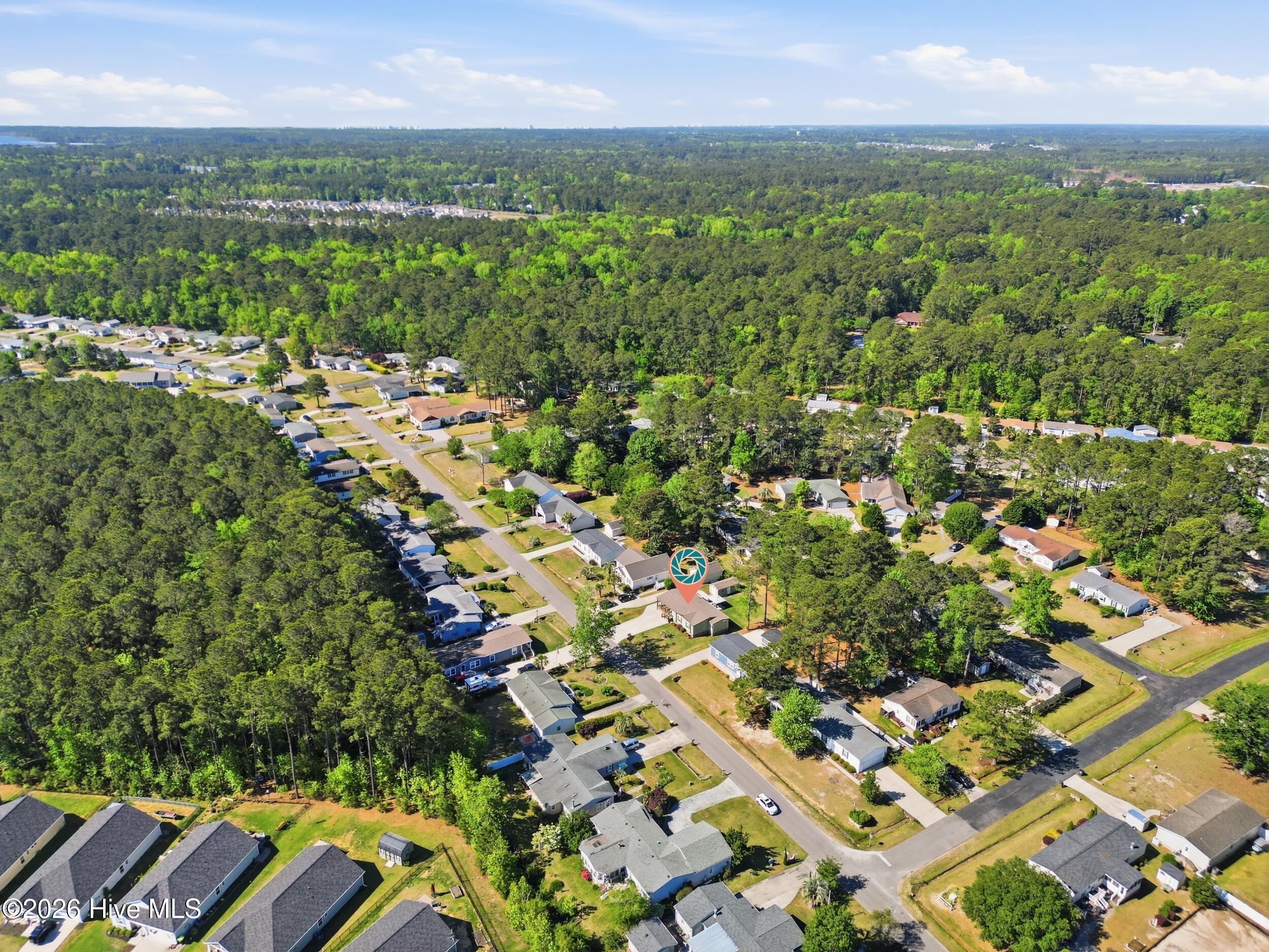 100567202 | Photo 44