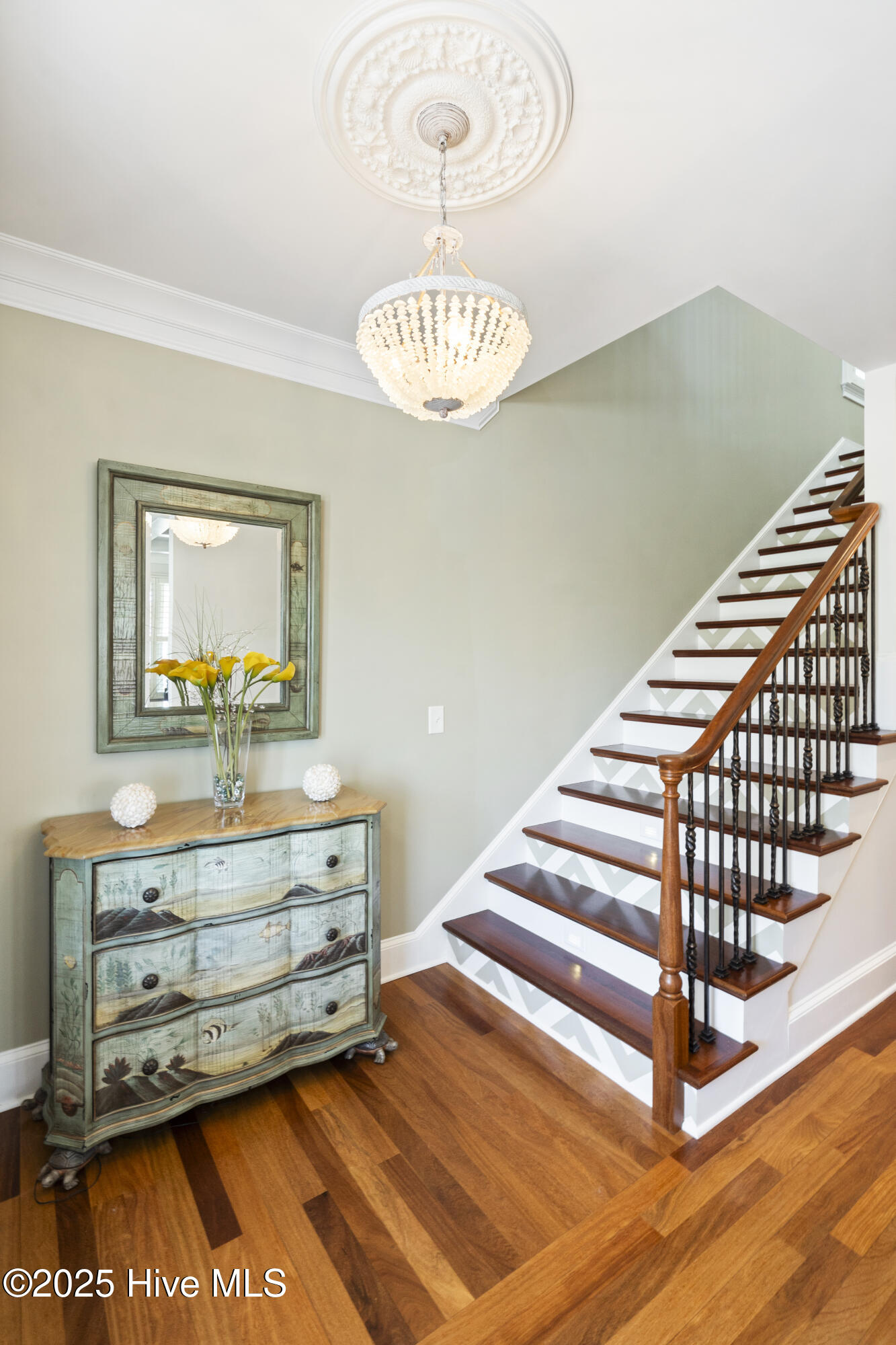 100498817 | Photo 101