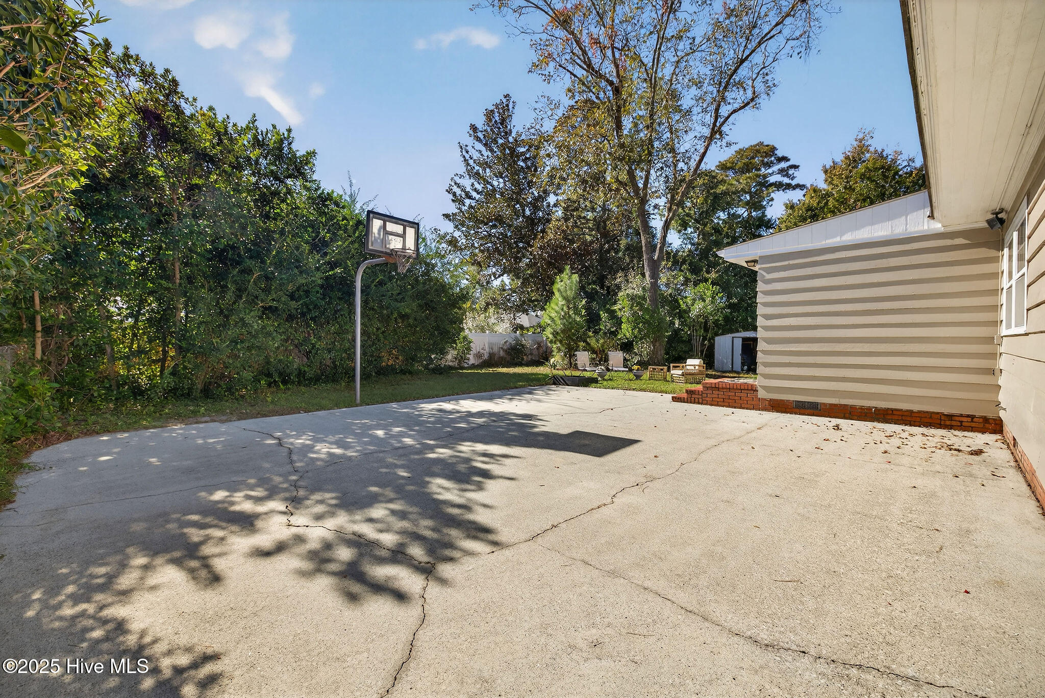 100539754 | Photo 38