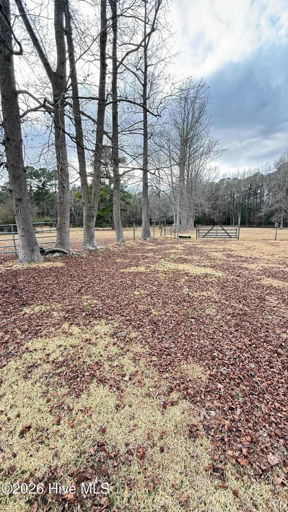 100551820 | Photo 25