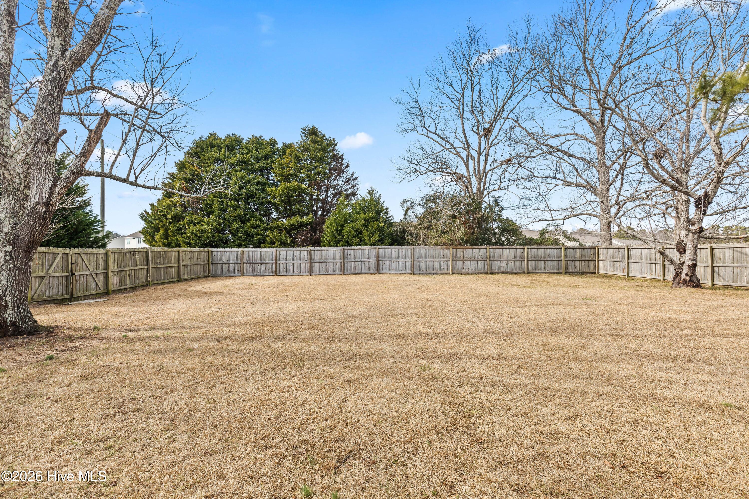 100554096 | Photo 15