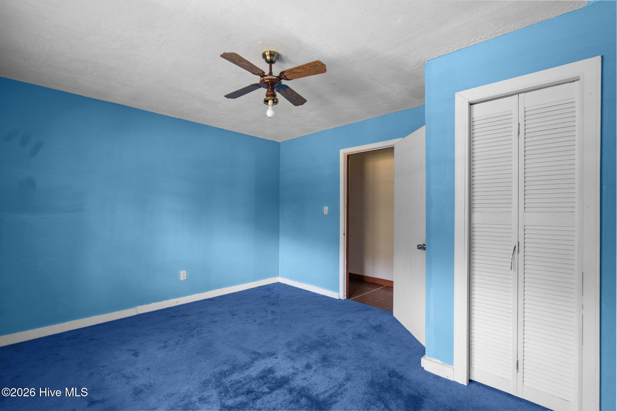 100563221 | Photo 41