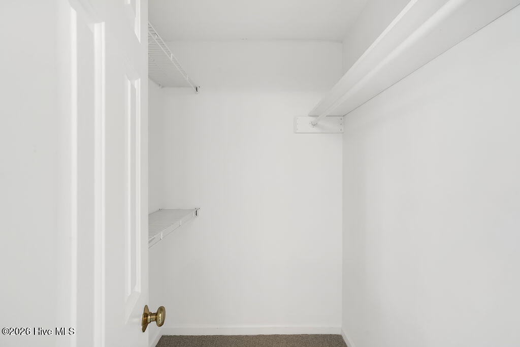 100567084 | Photo 19