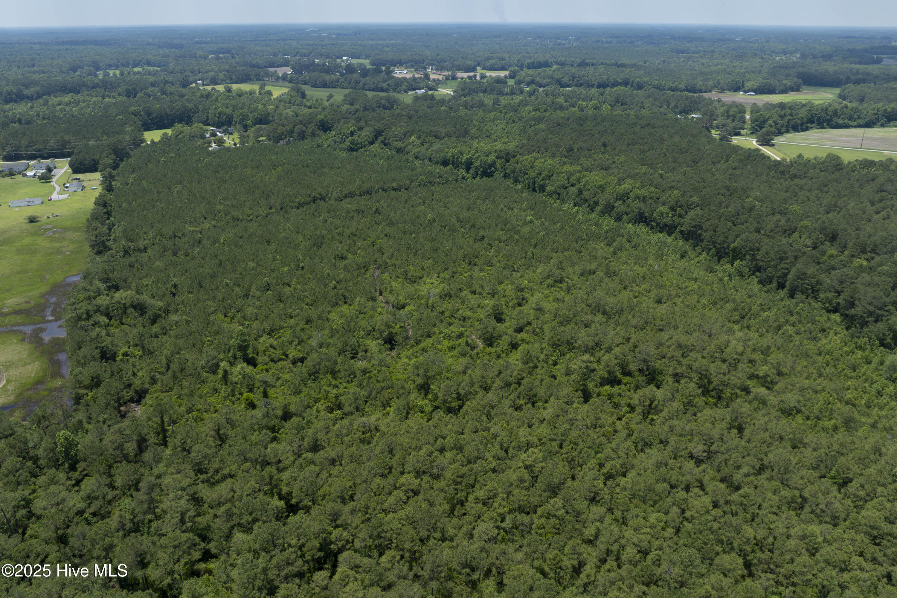 100516949 | Photo 16