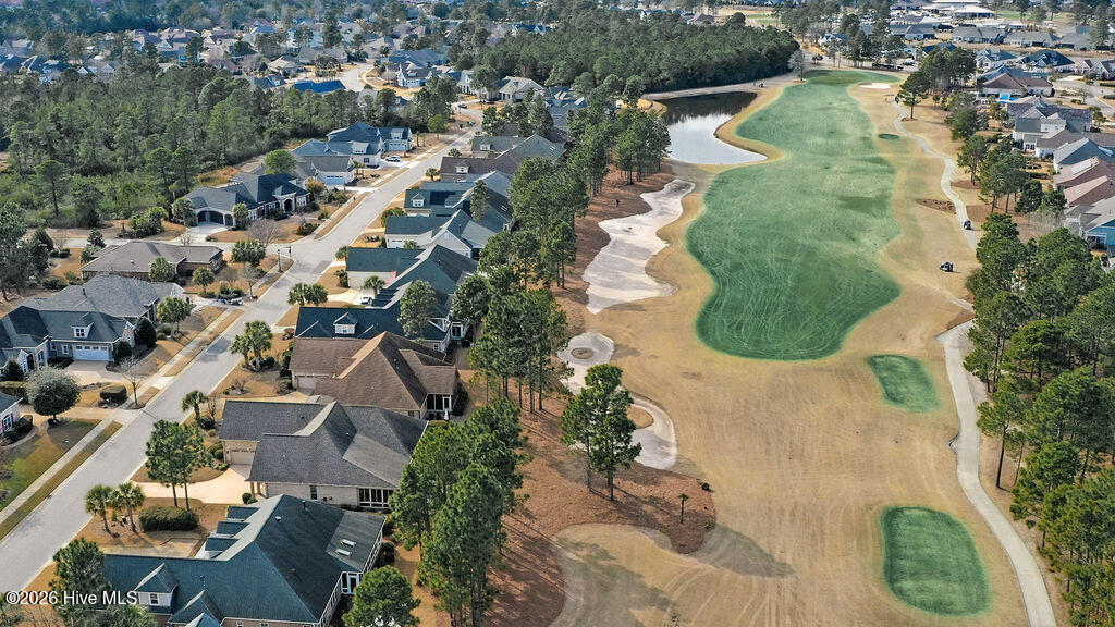 100554017 | Photo 43