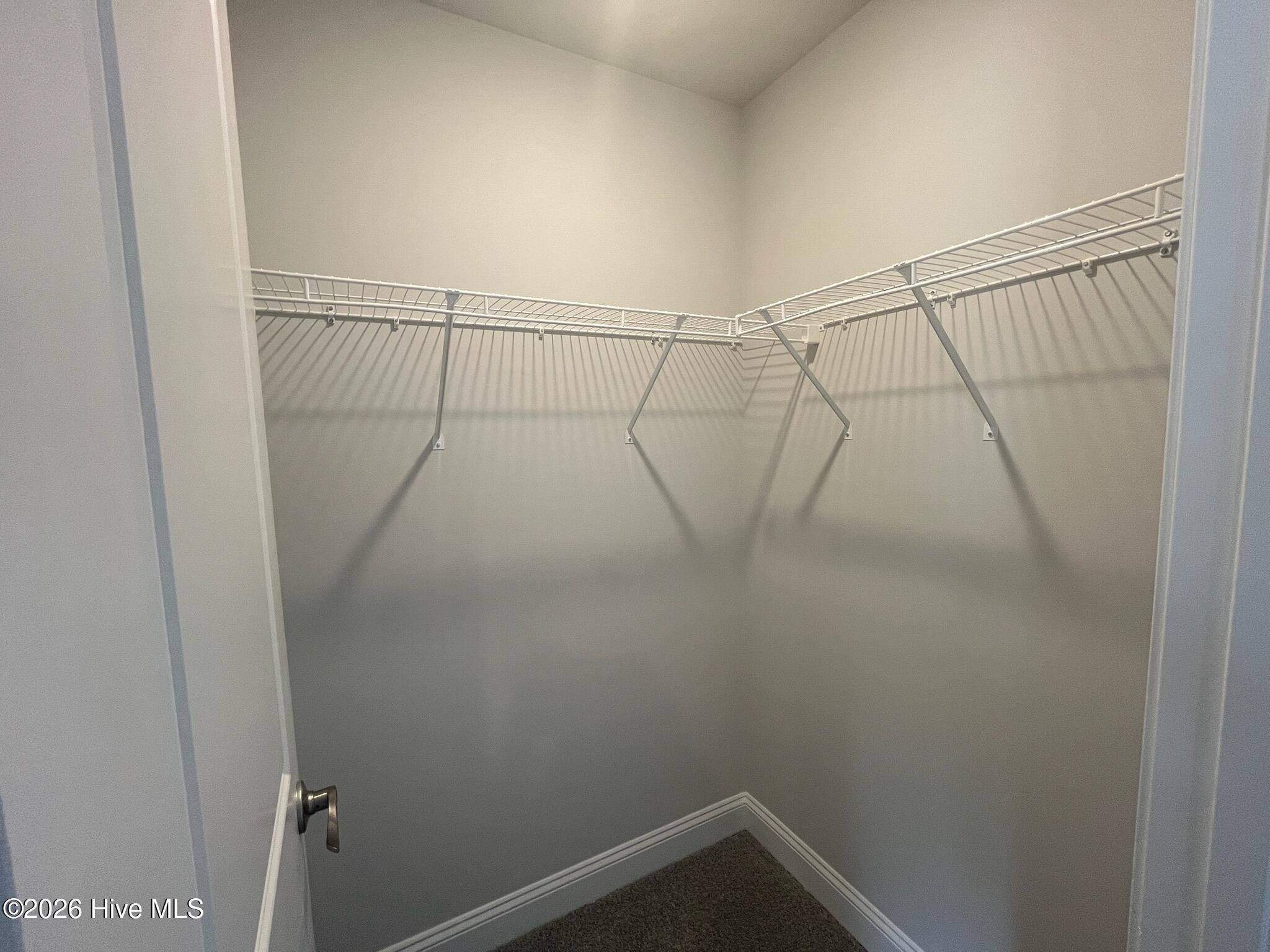 100558864 | Photo 35