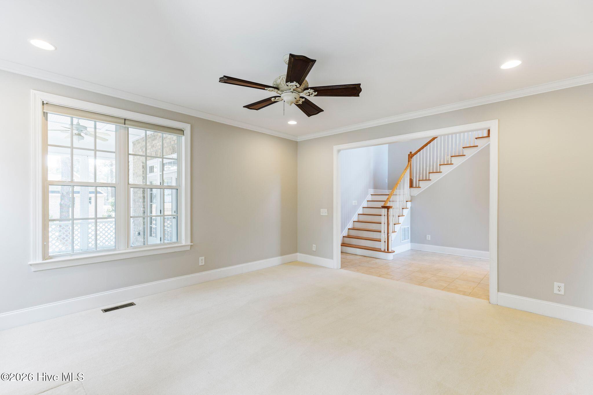 100553307 | Photo 11