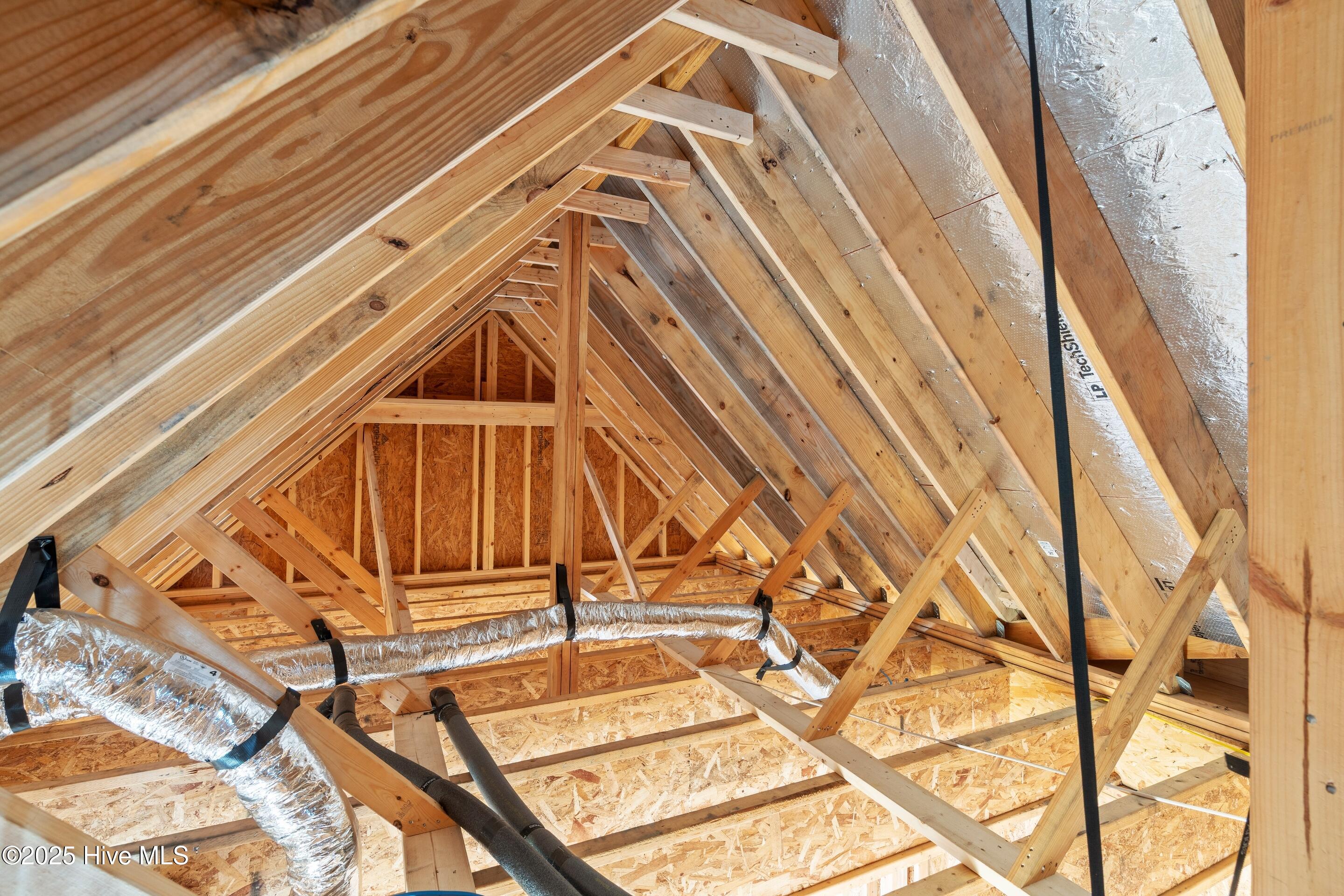 100543069 | Photo 65