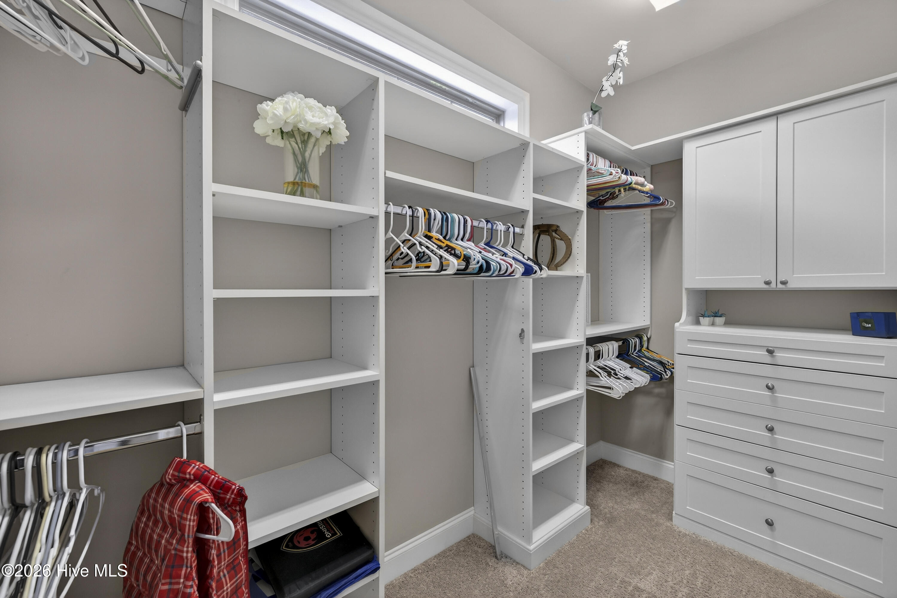 100562254 | Photo 37