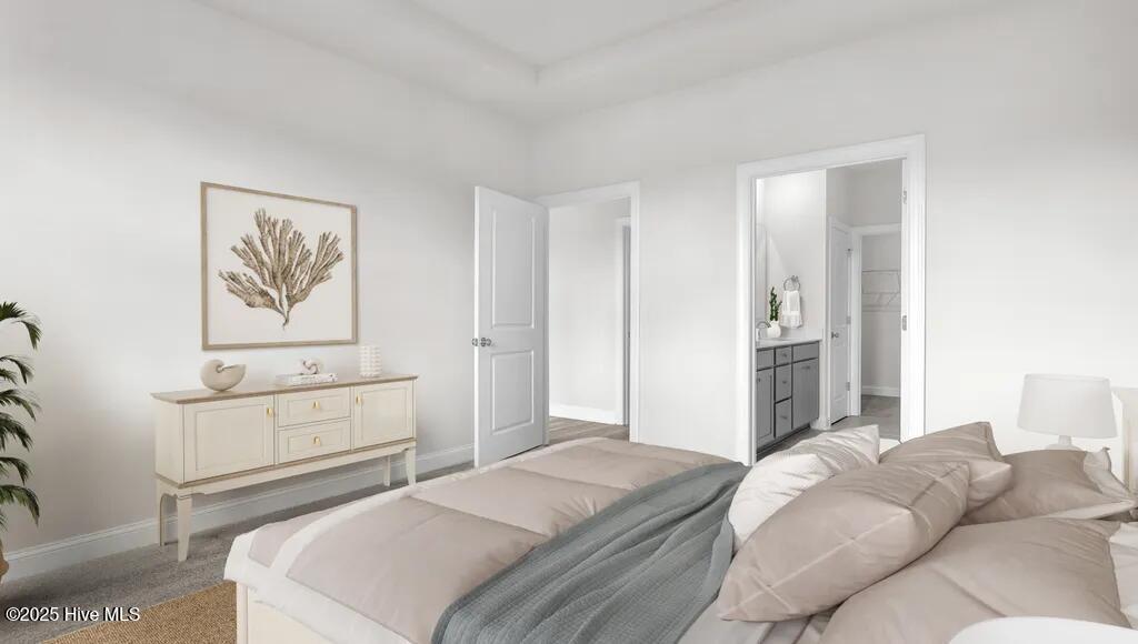 100563316 | Photo 13