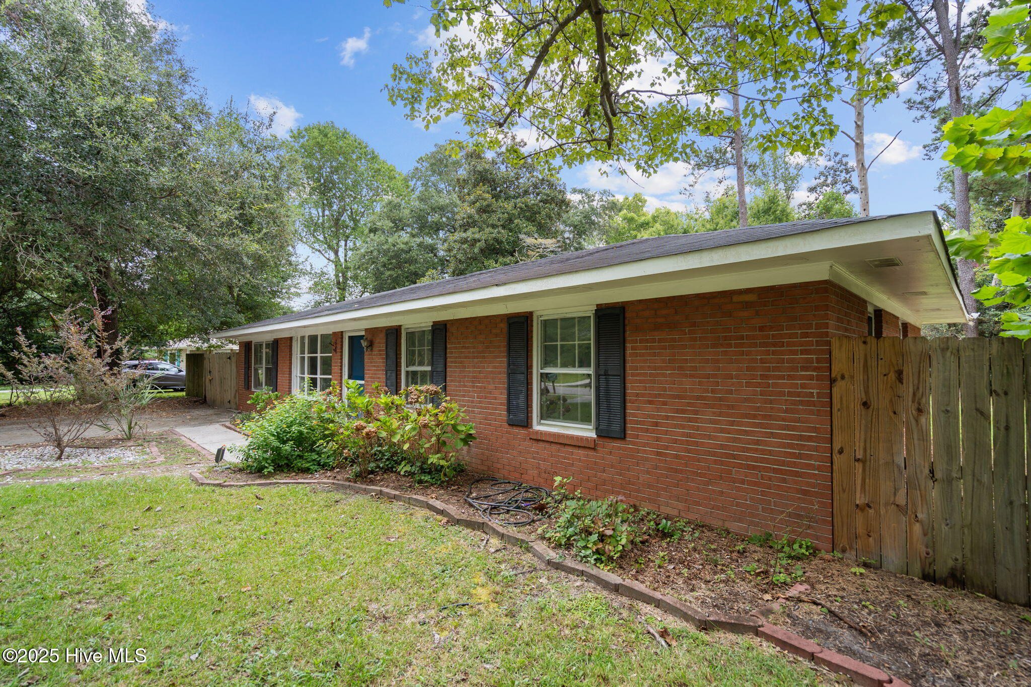 100531423 | Photo 41