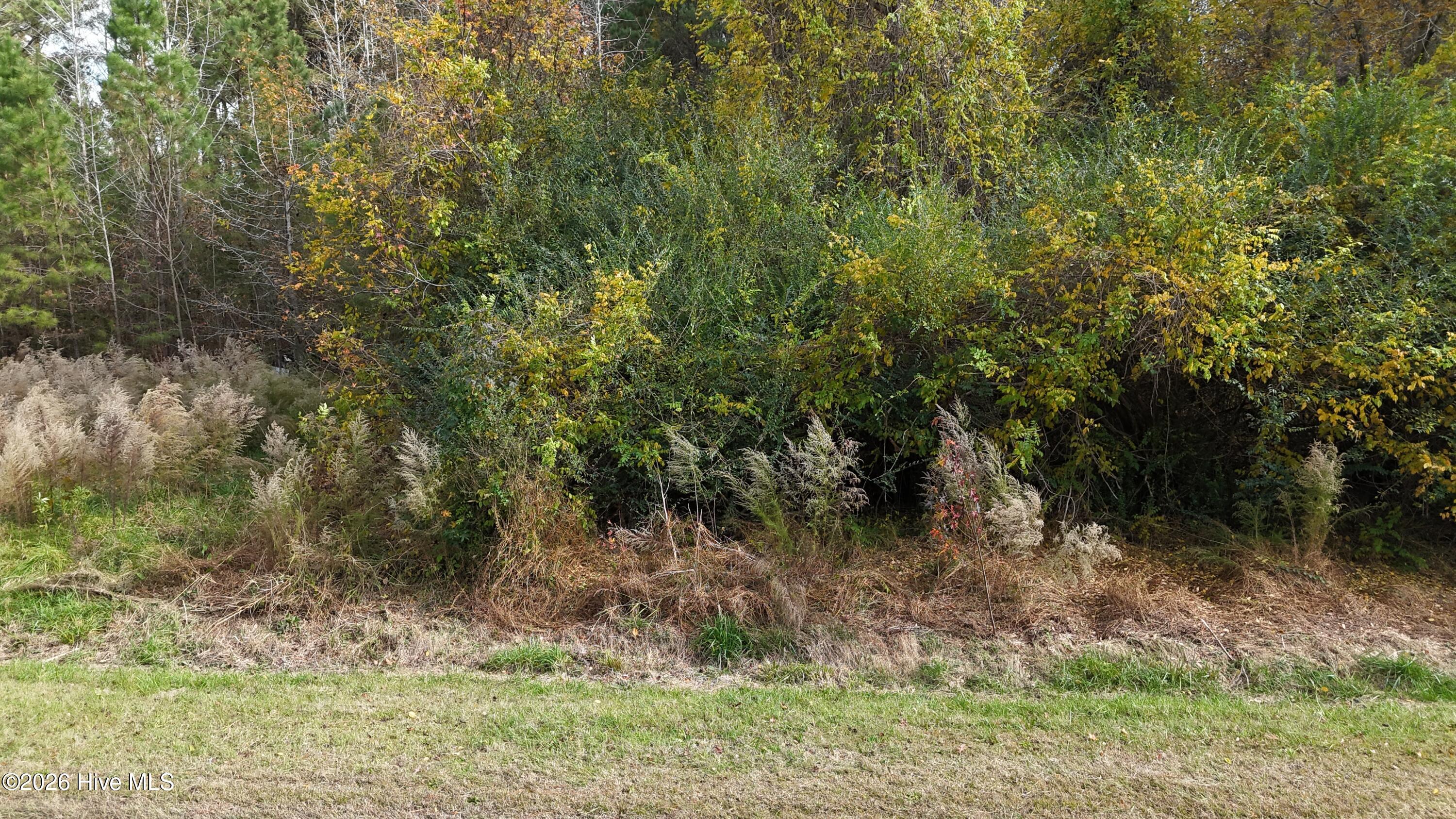 Homes for sale in Blounts Creek, NC | 0000 Sr 1100, Blounts Creek, NC 27814 | MLS# 100548795