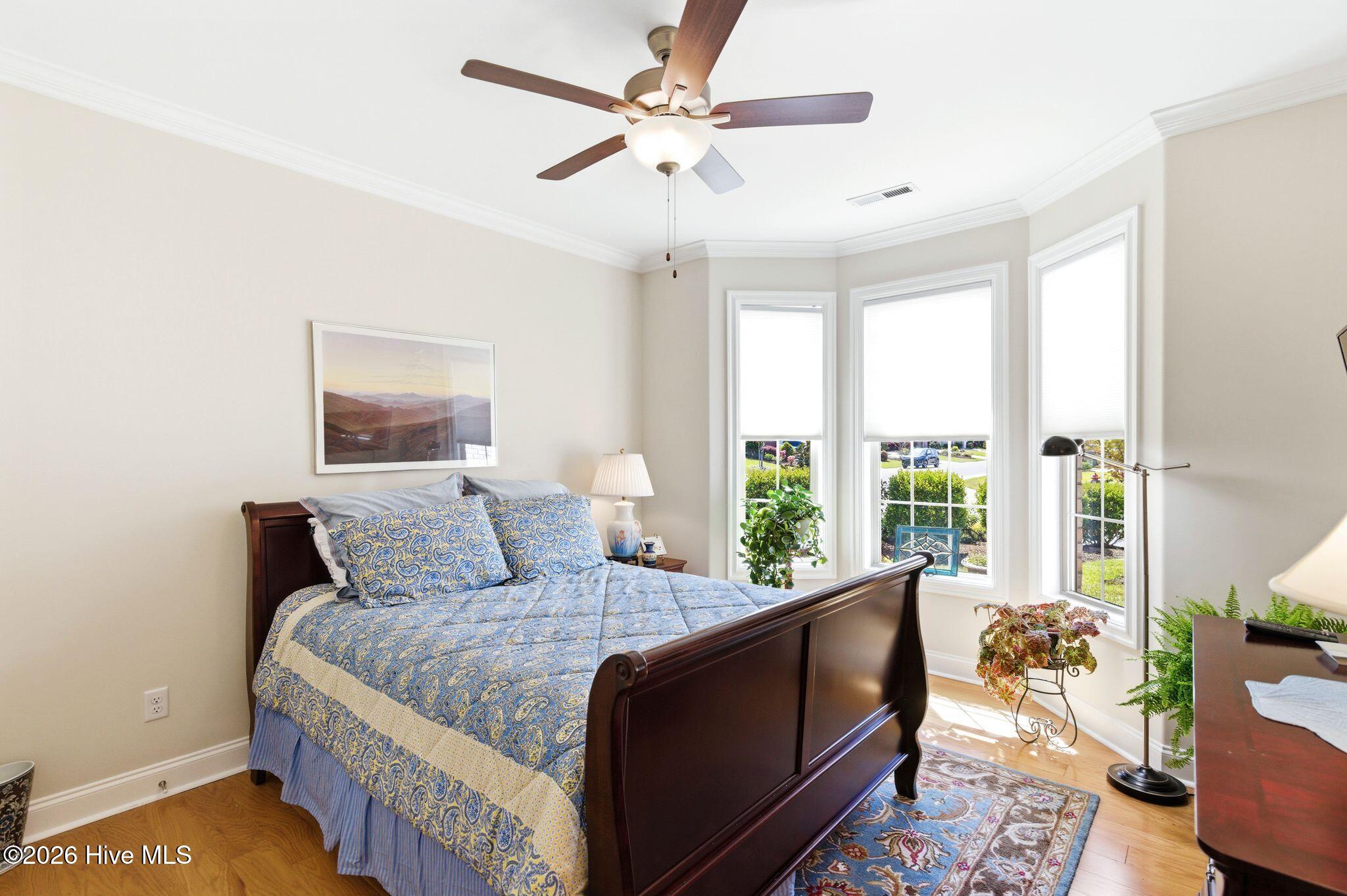 100564564 | Photo 24