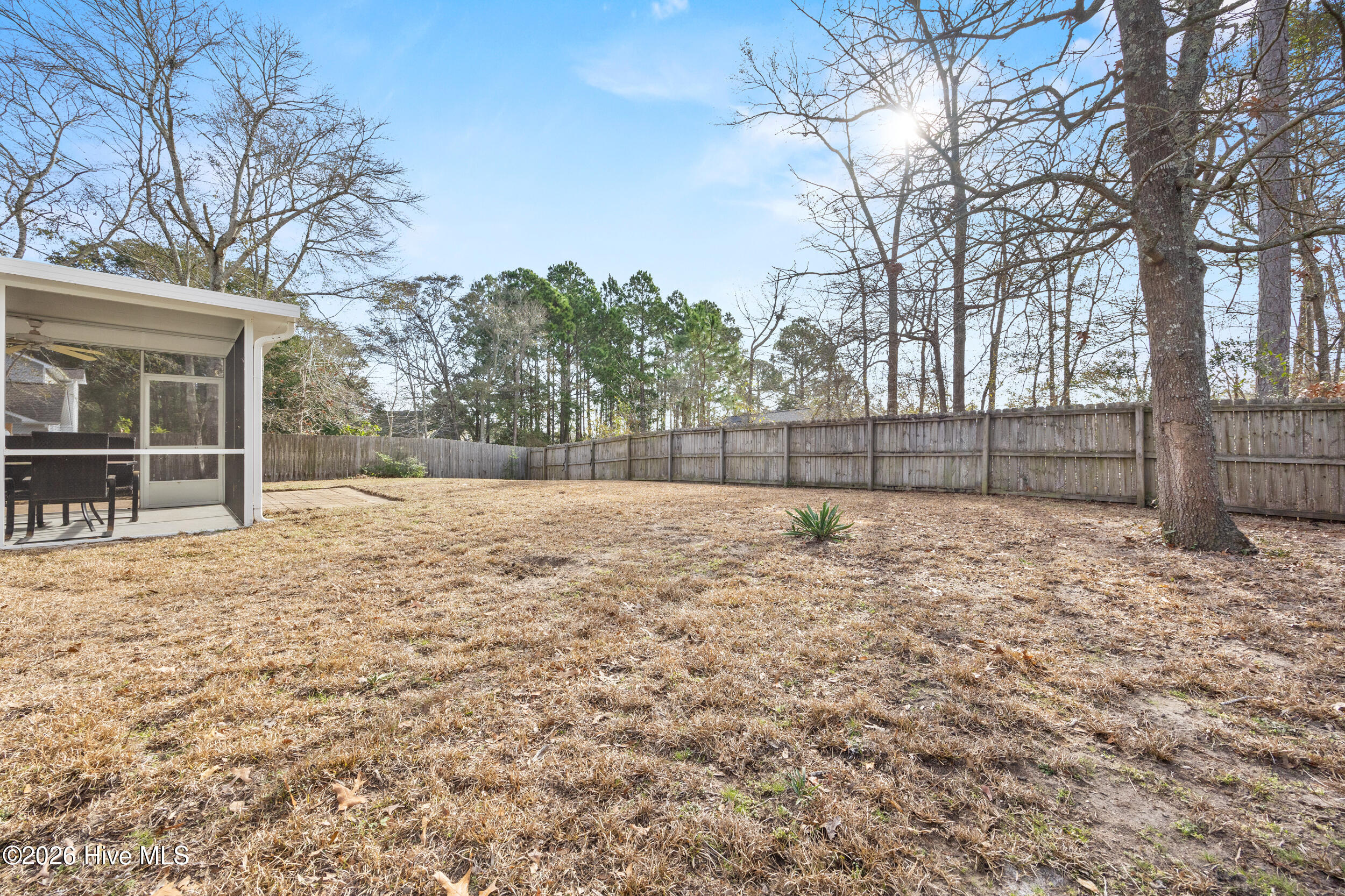 100555552 | Photo 44