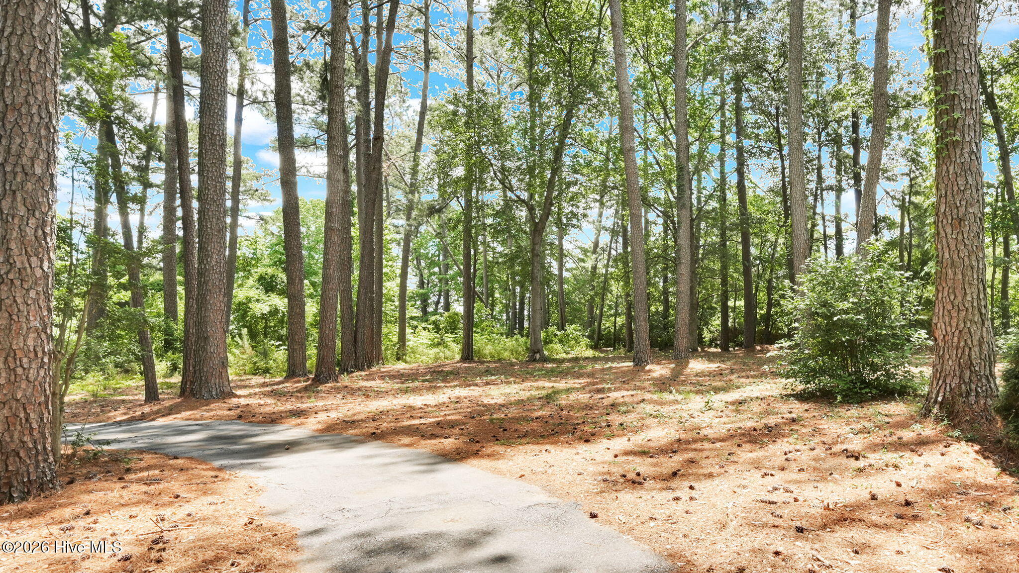 37-web-or-mls-1251 West Acres Lane-7