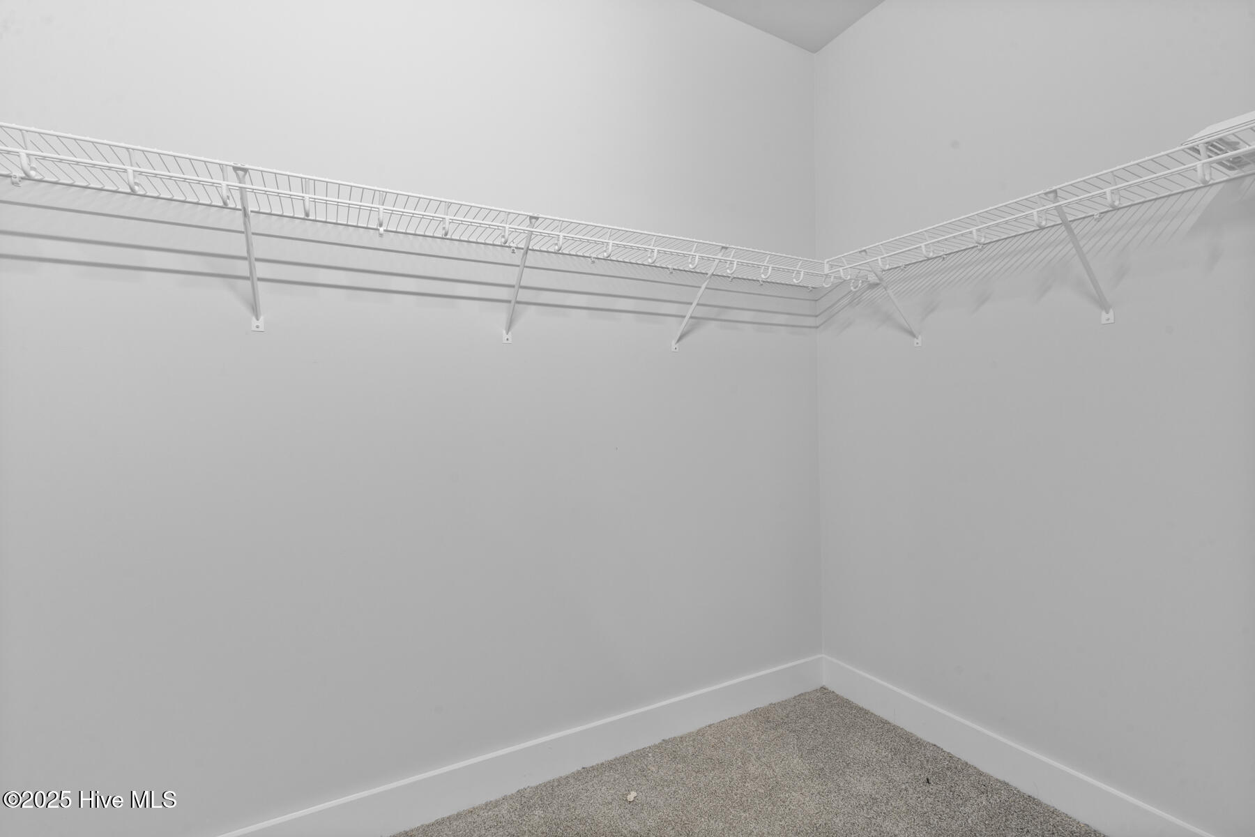 100540175 | Photo 23