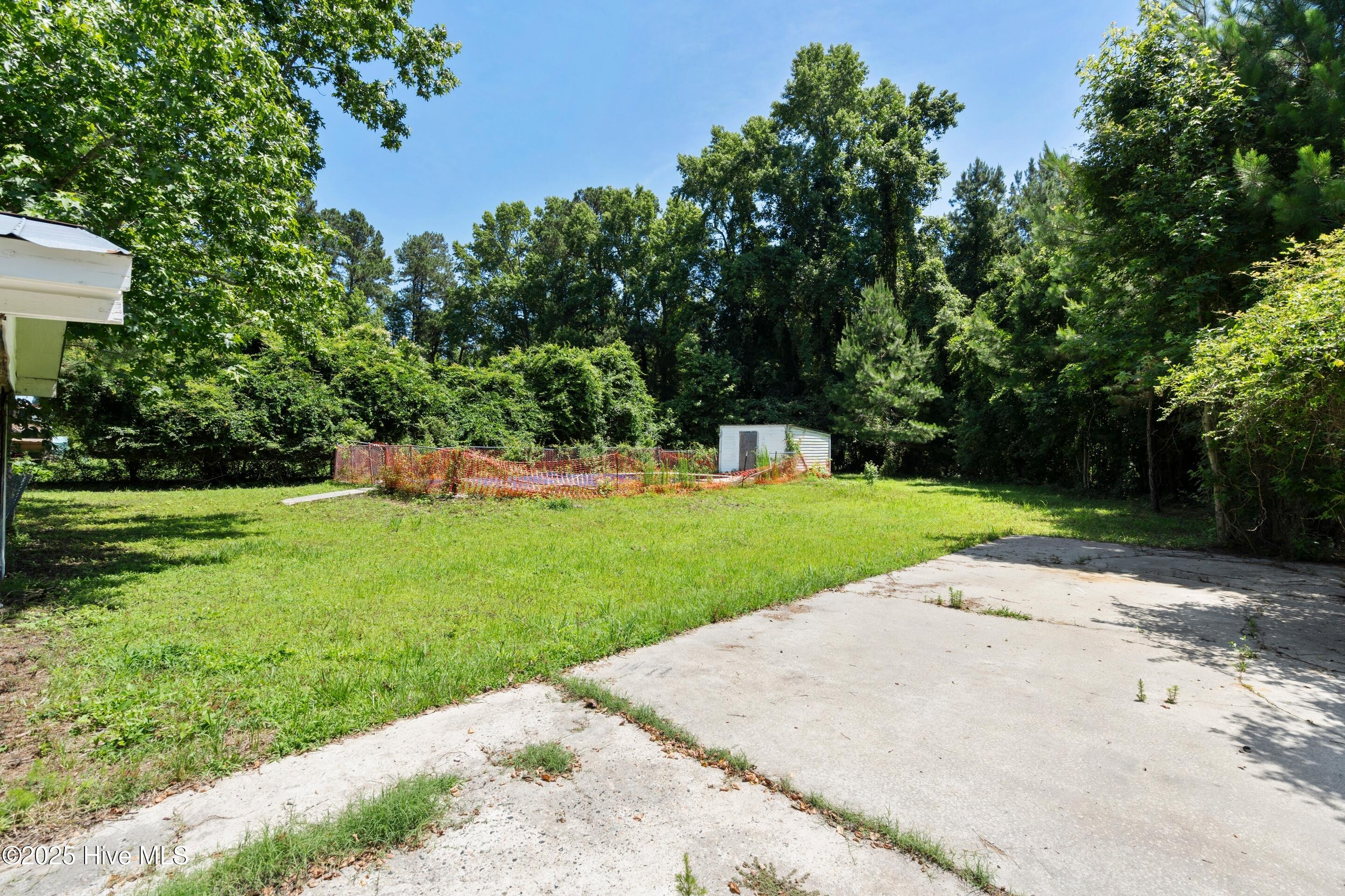 100513299 | Photo 44