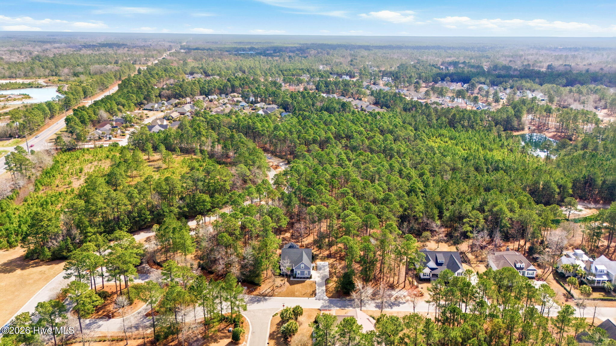 100558607 | Photo 57