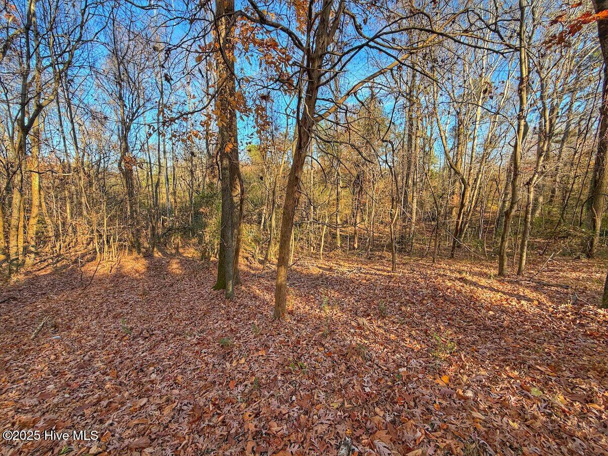 0 Mabry Mill Road, Henderson, NC, 27537