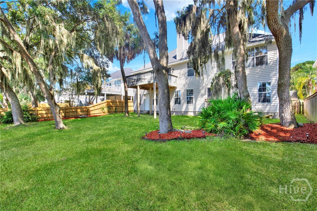 Back yard