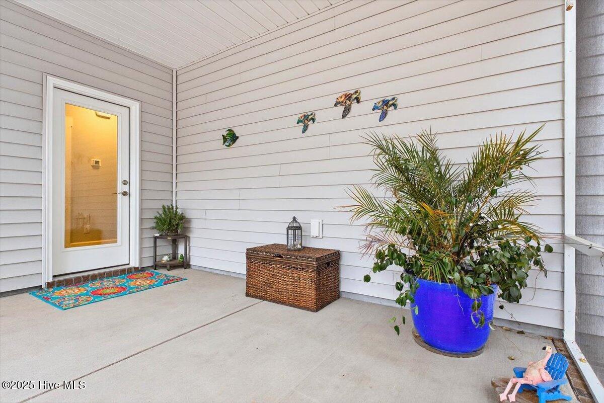 100546155 | Photo 45