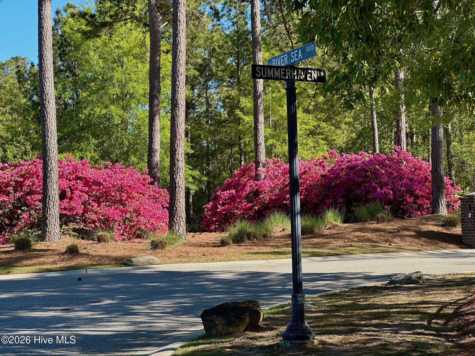 100565130 | Photo 49